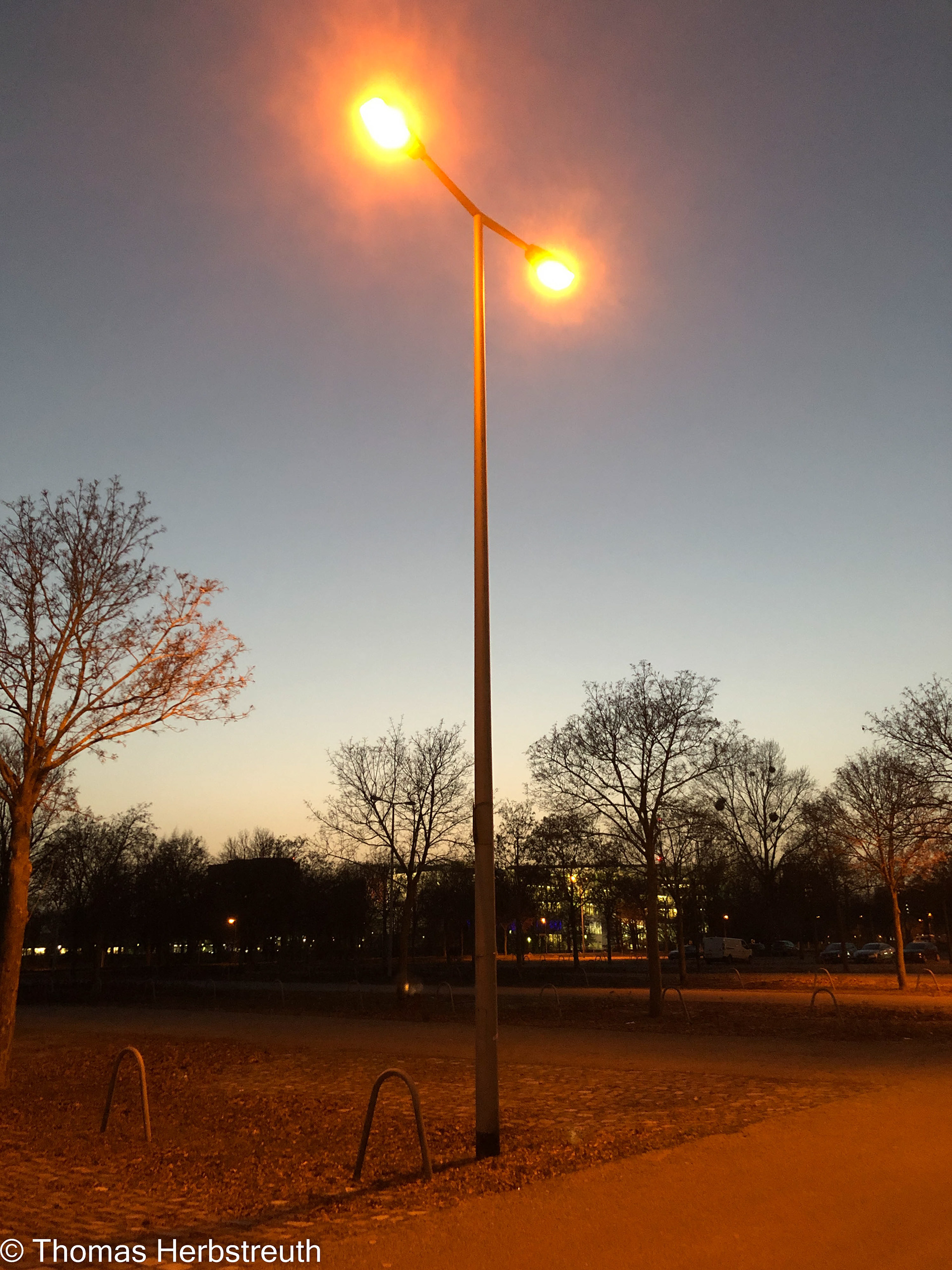 Mannheim