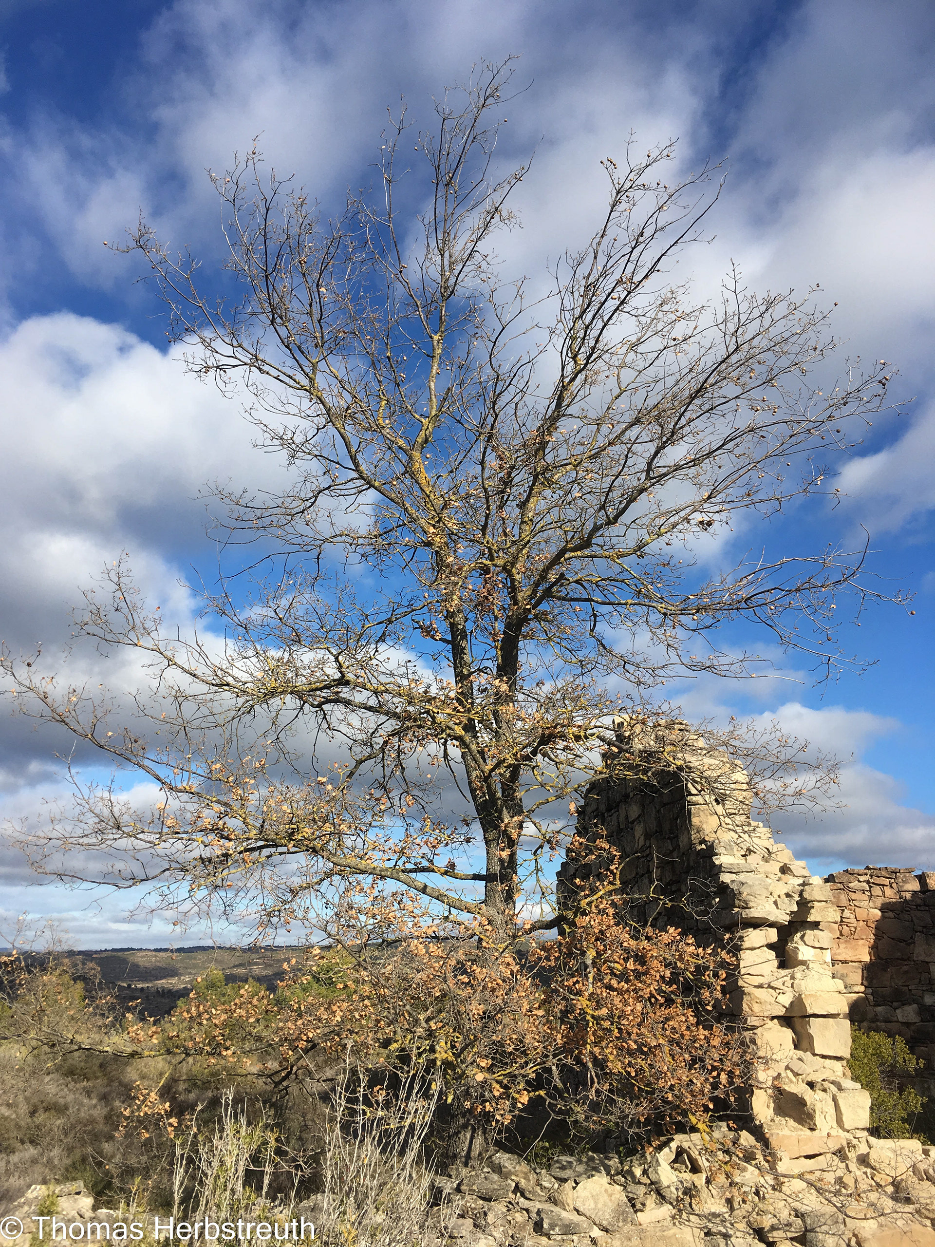Jorba (Spain)