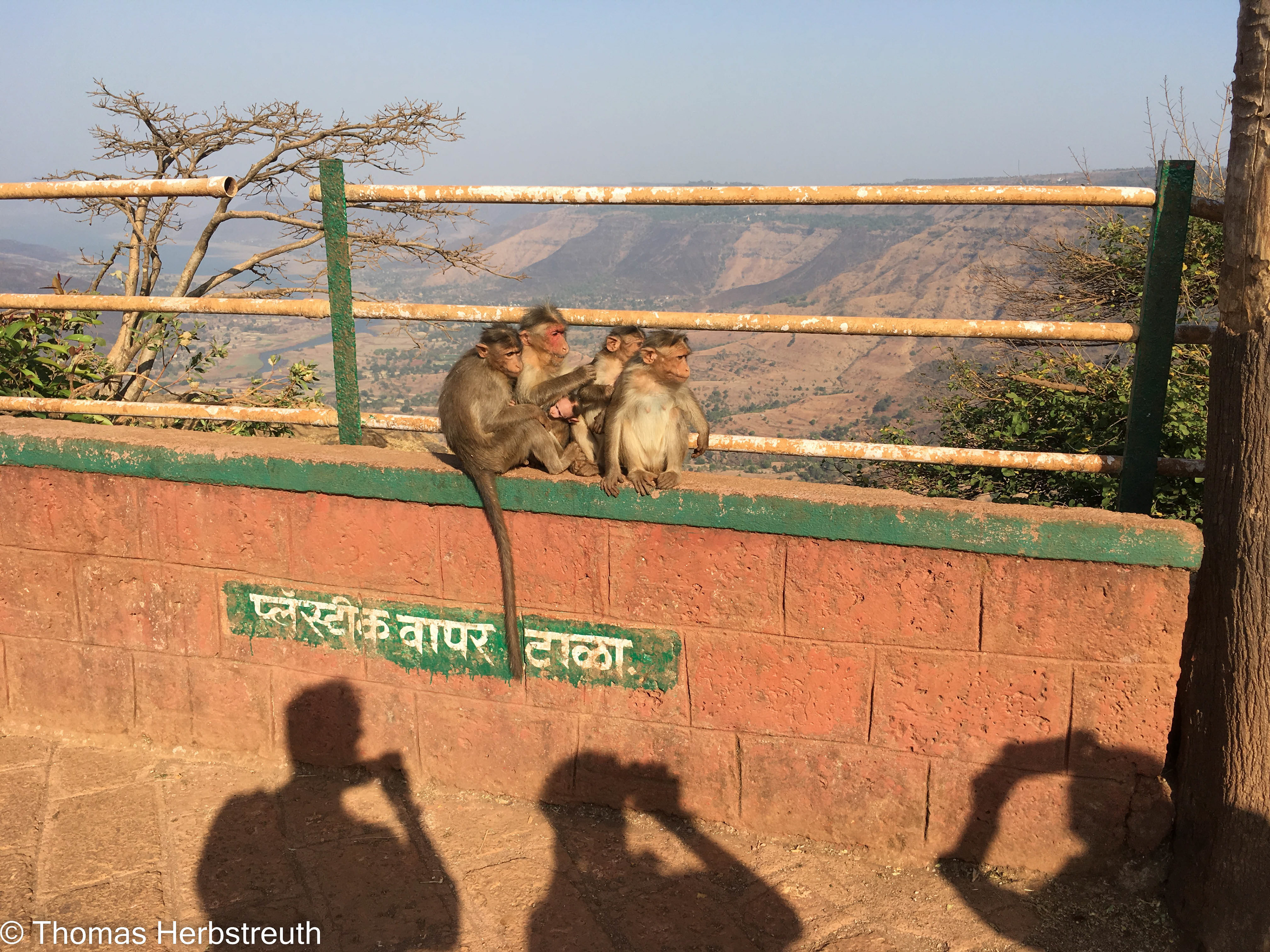 Mahabaleshvar (India)