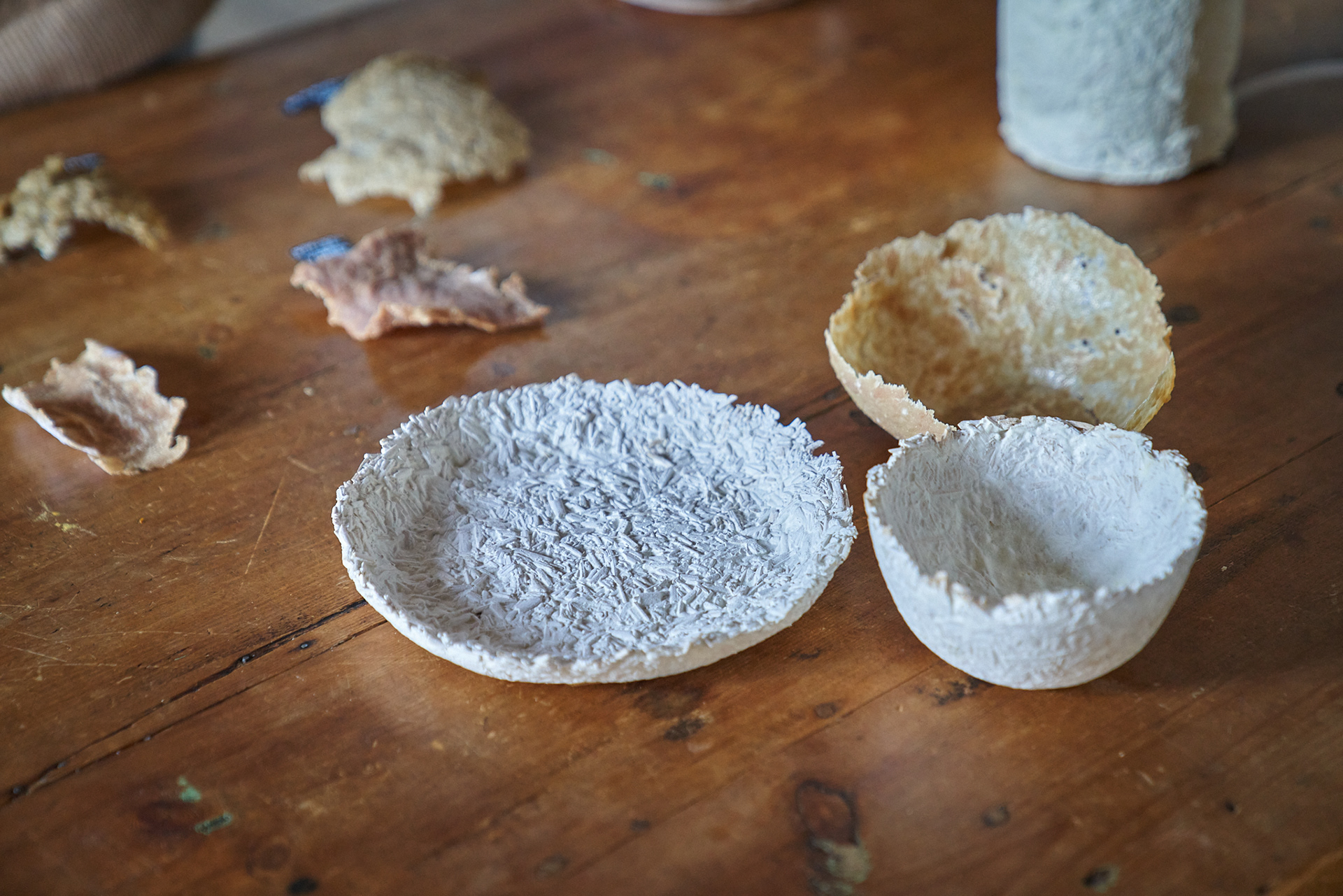 Mycelium tableware