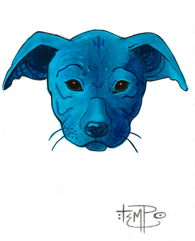 Original Drawing