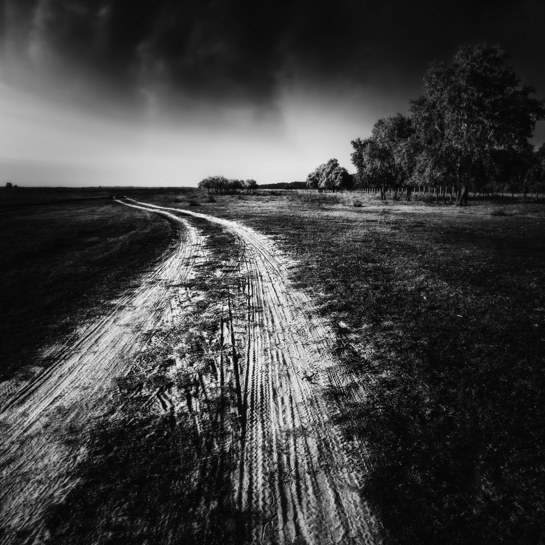 Road to Nowhere, Danube Delta, Romania