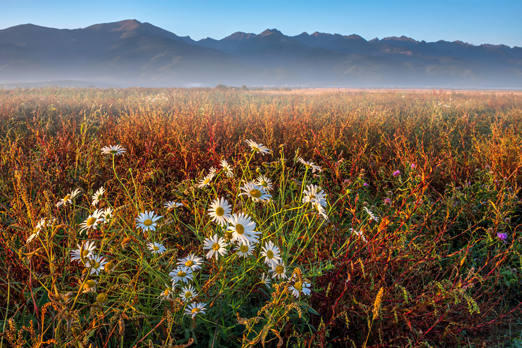 Fagaras Mountains, Transylvania, Romania