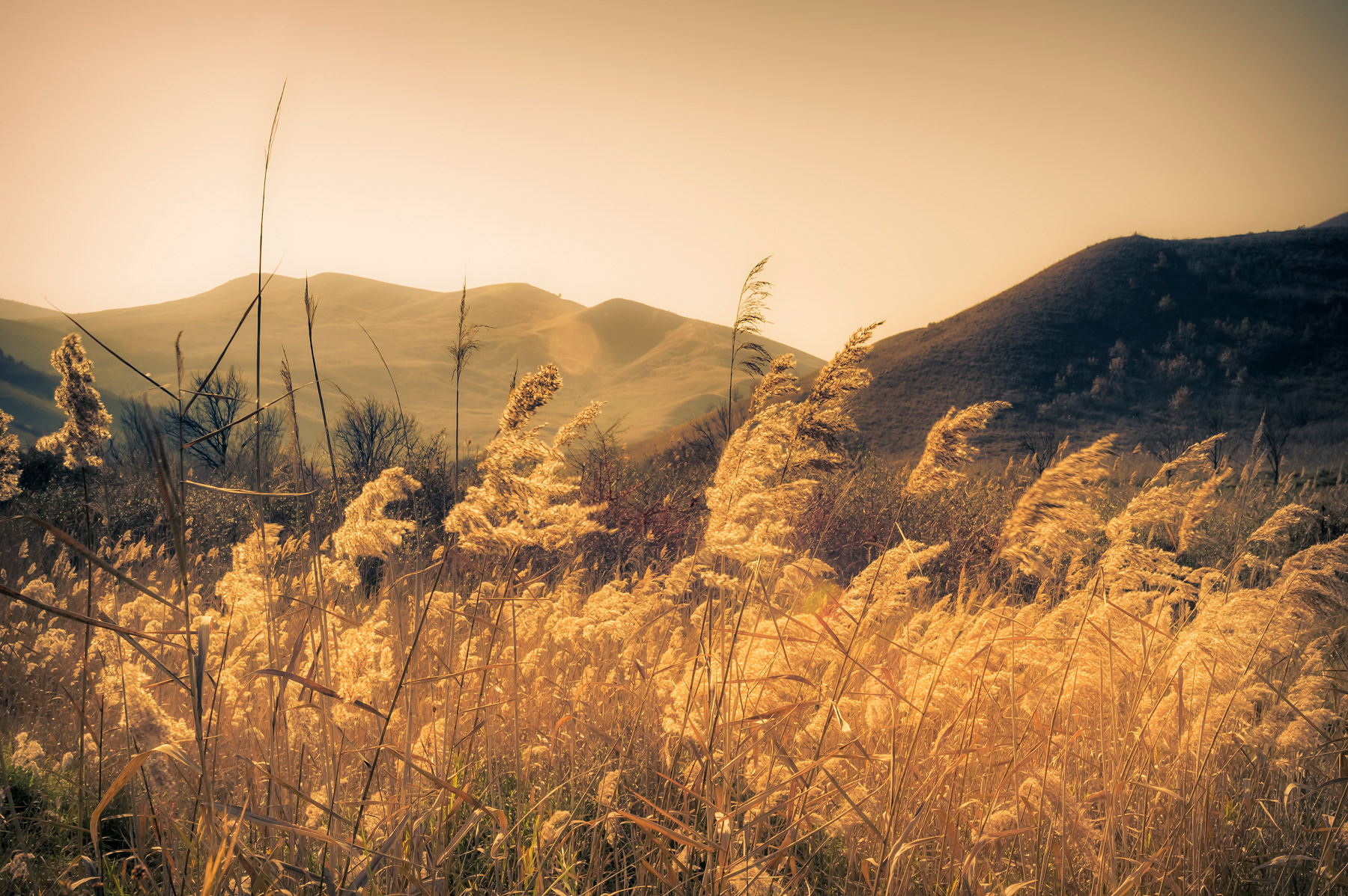 Mud Volcanoes Natural Park, Romania