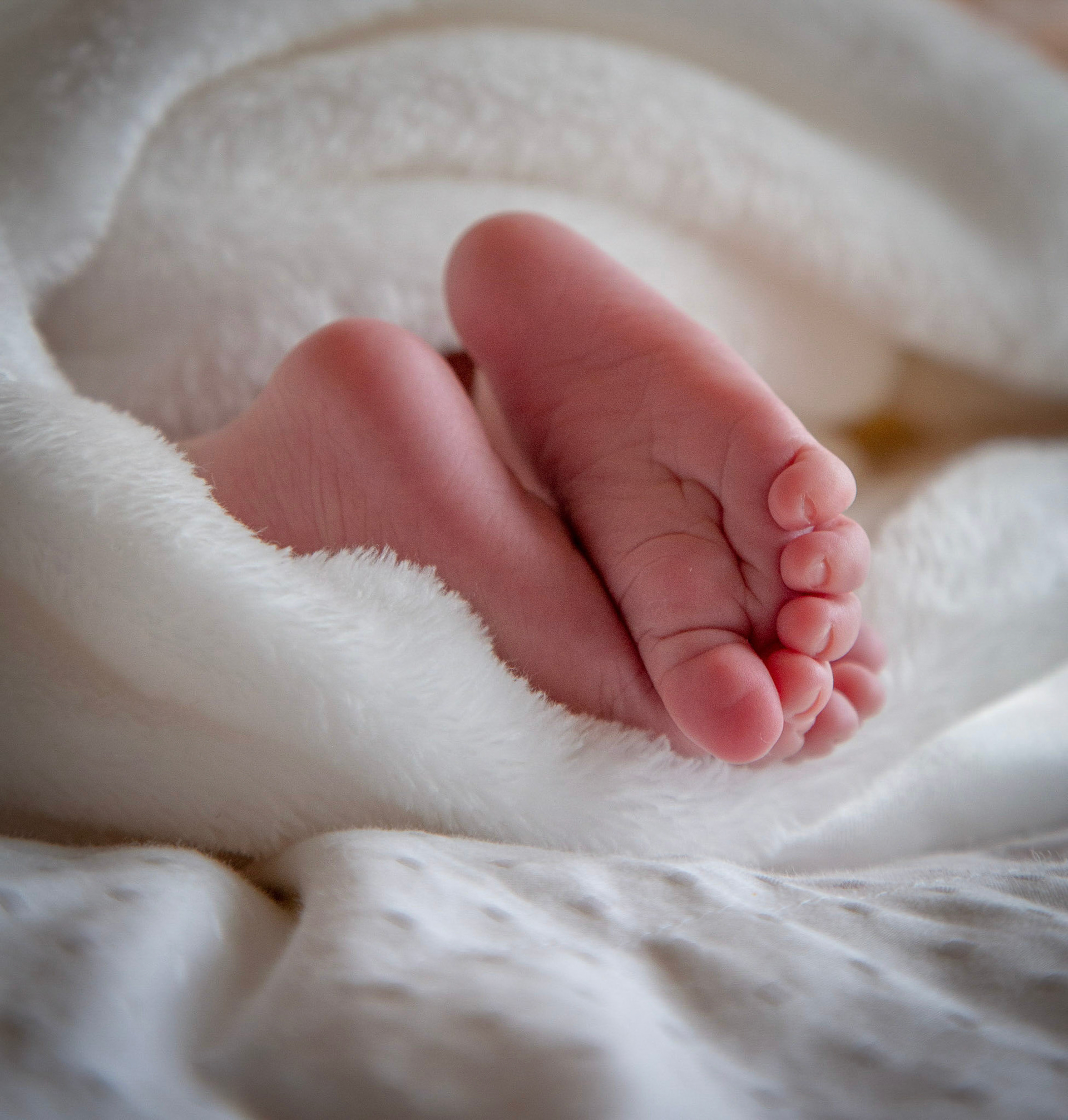 Newborn Photographer Ponte Vedra Beach