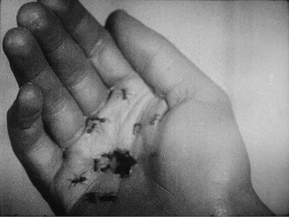 Un chien andalou (Luis Buñuel, 1929)