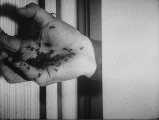 Un chien andalou (Luis Buñuel, 1929)