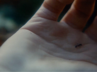 Augustine (Alice Winocour, 2012)