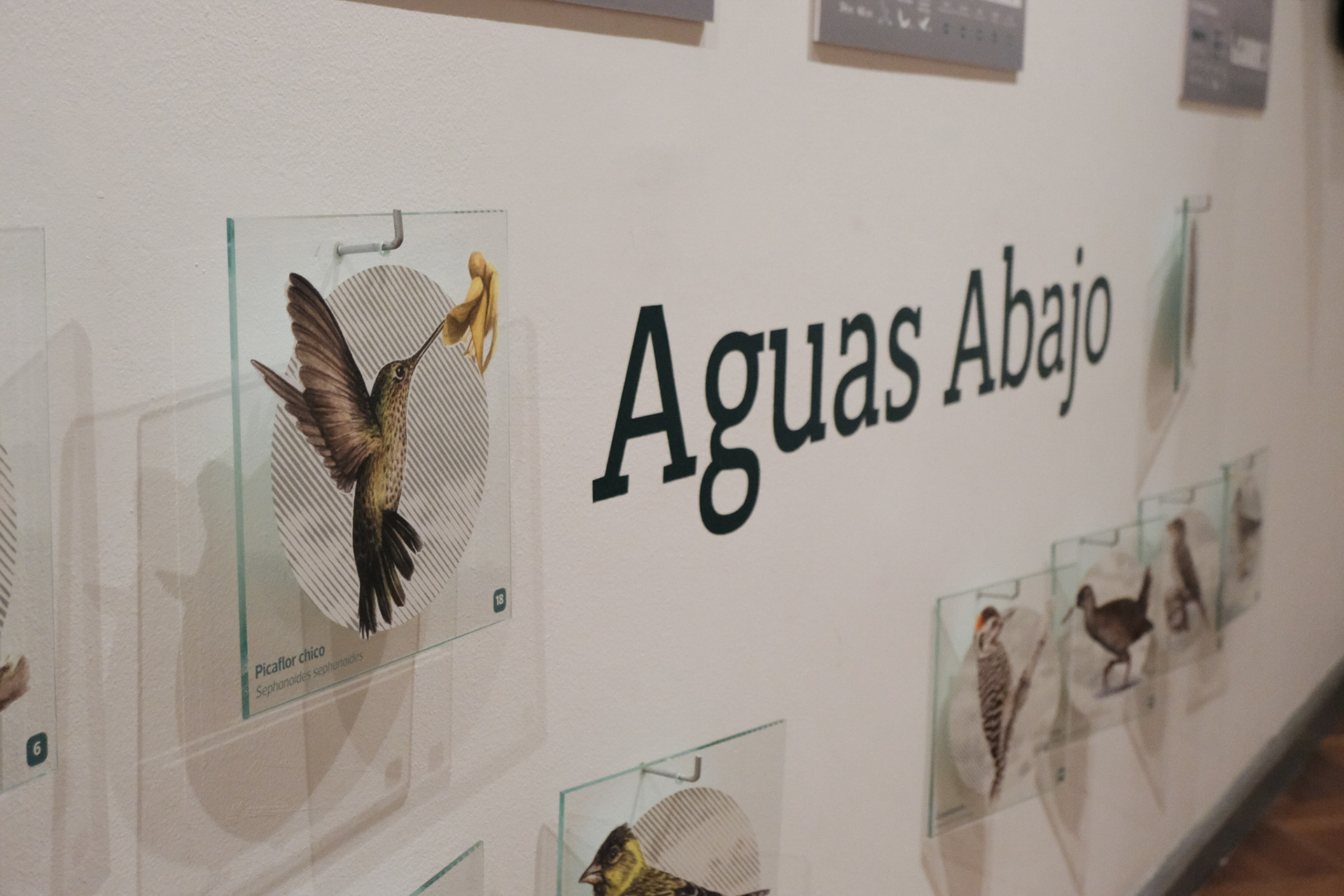 Fotografía de Juliana Castellanos