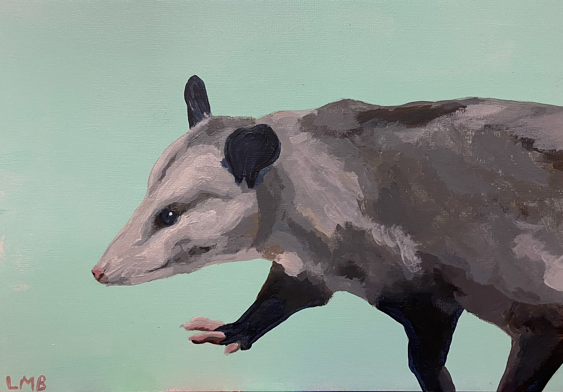 Oppossum