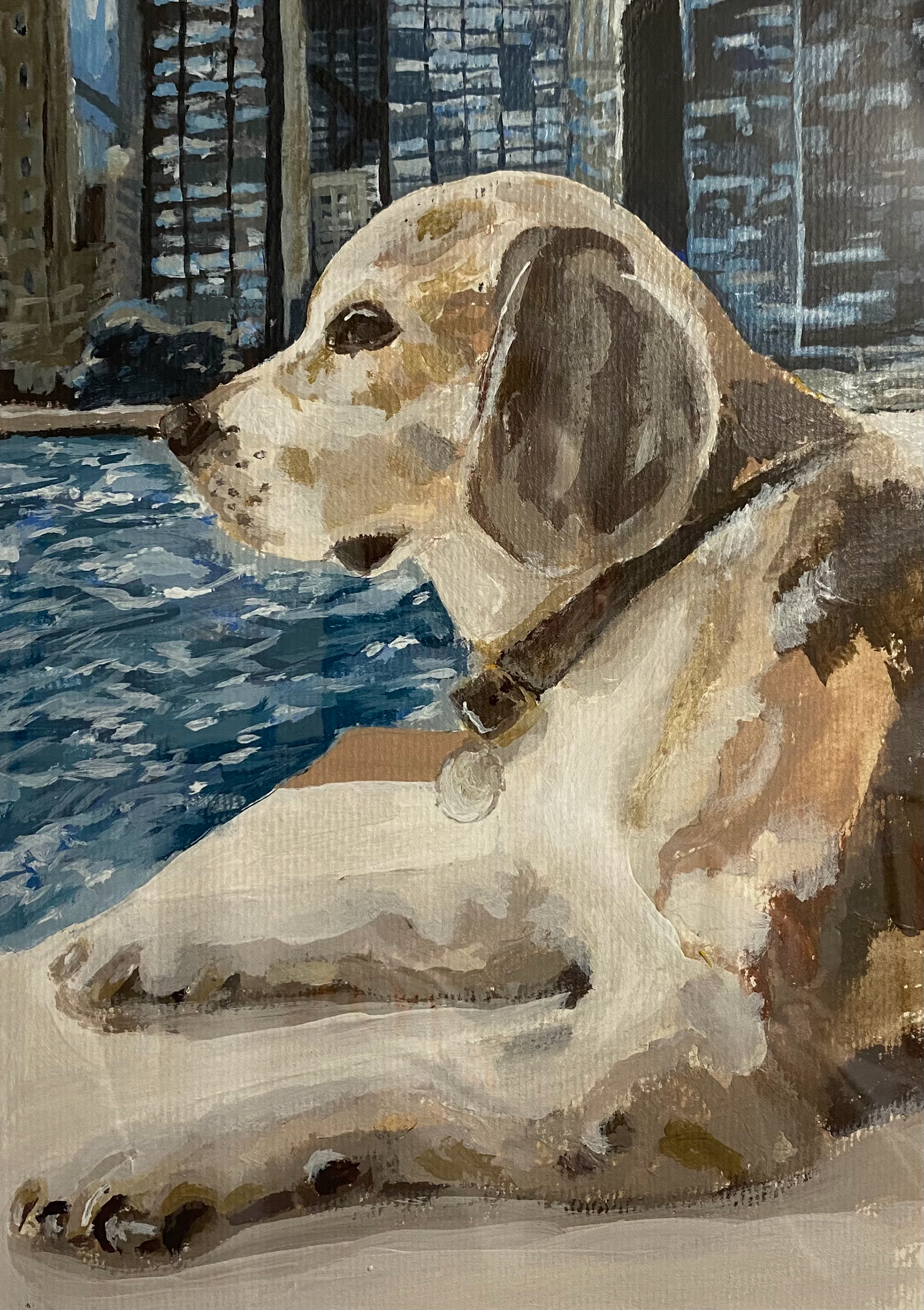 Beagle