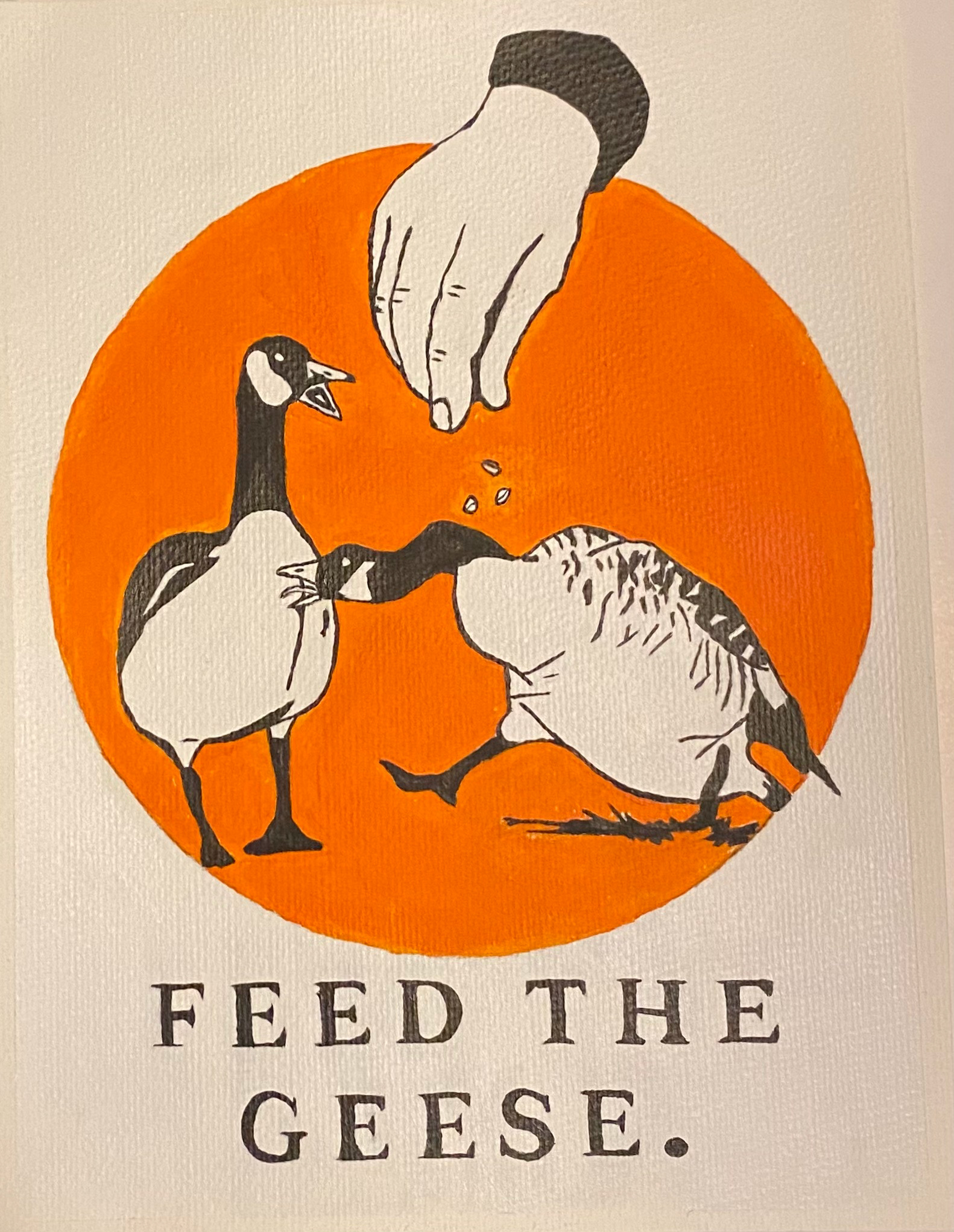 Feed the Geese