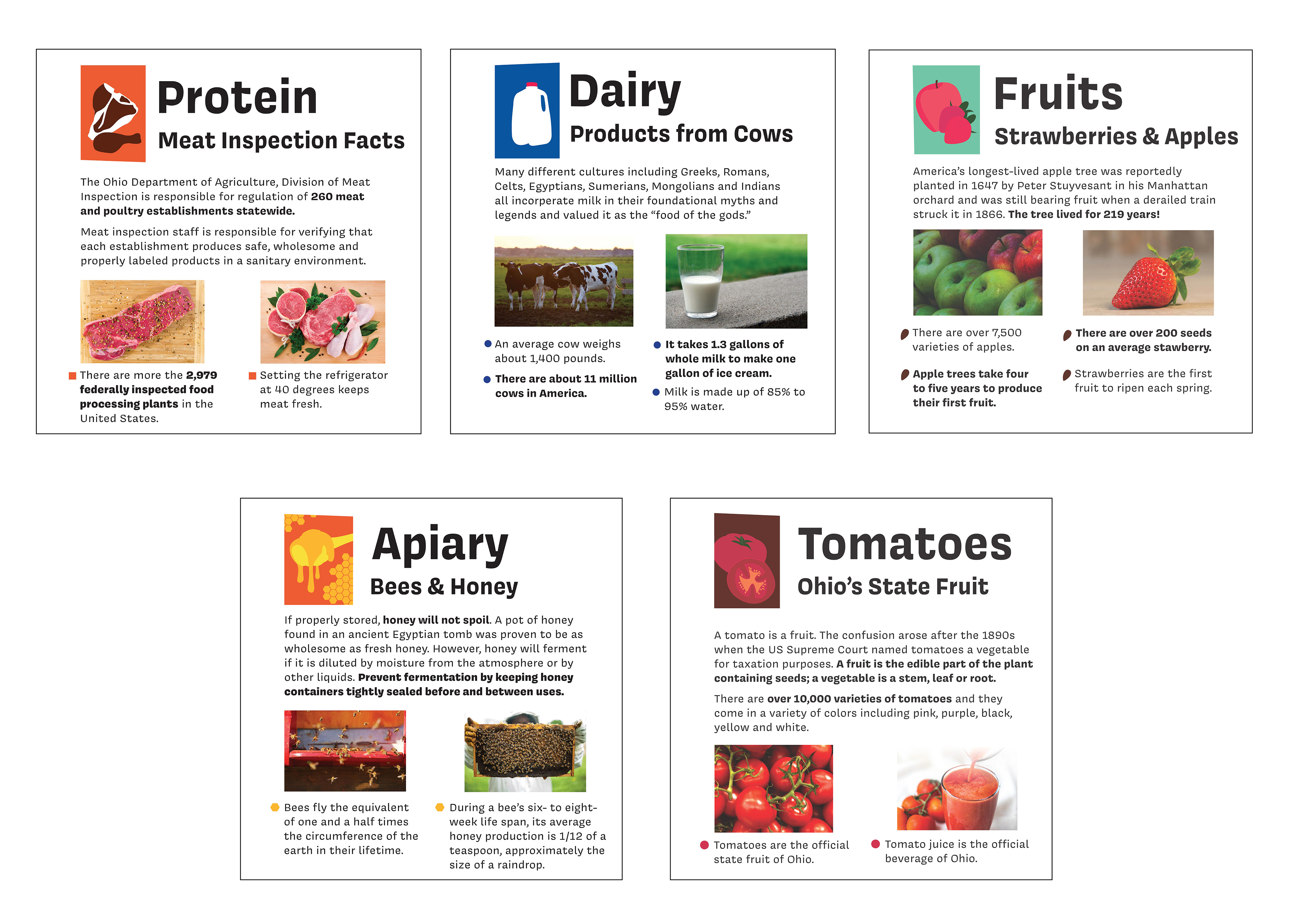 Fact posters for each of the five zones within the Land & Living Exhibit. Goal to educate the fairgoers about food, where it comes from & shocking facts that they might not know about about what they consume.