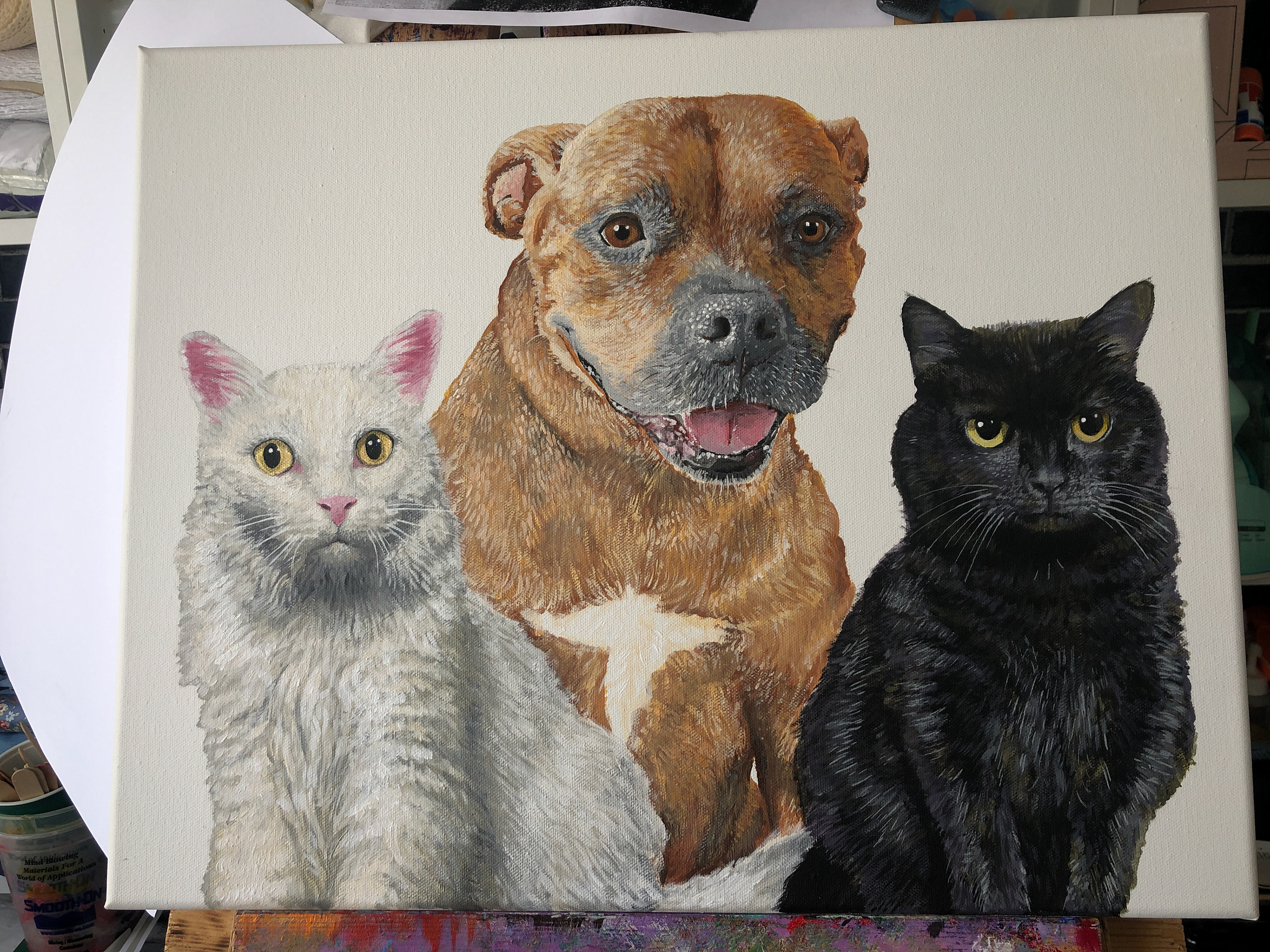 Acrylic Pet Portrait