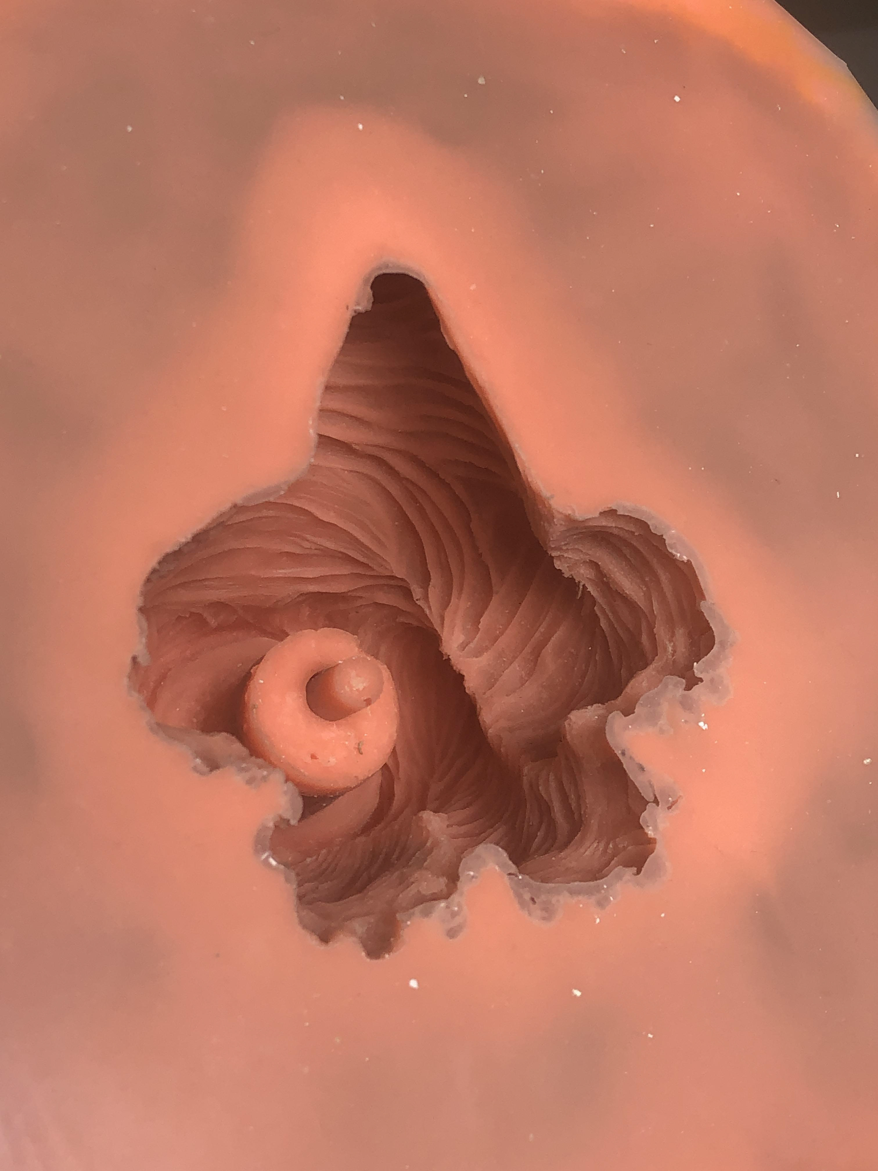 Detail of "Body" mold interior