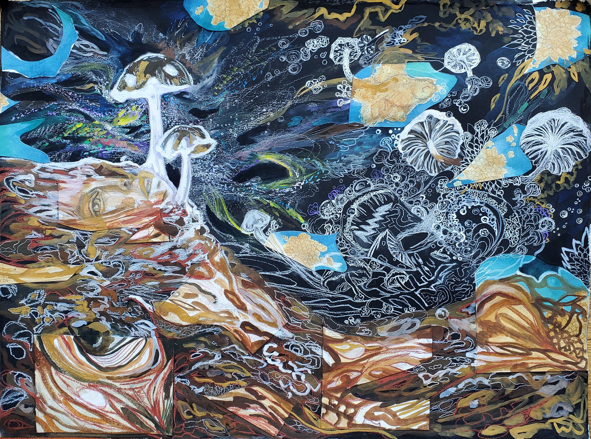 *Terra Aquarium, 22.5 " x 30", gouache, white charcoal, white gel pen, conté and collaged drawing on black gessoed paper