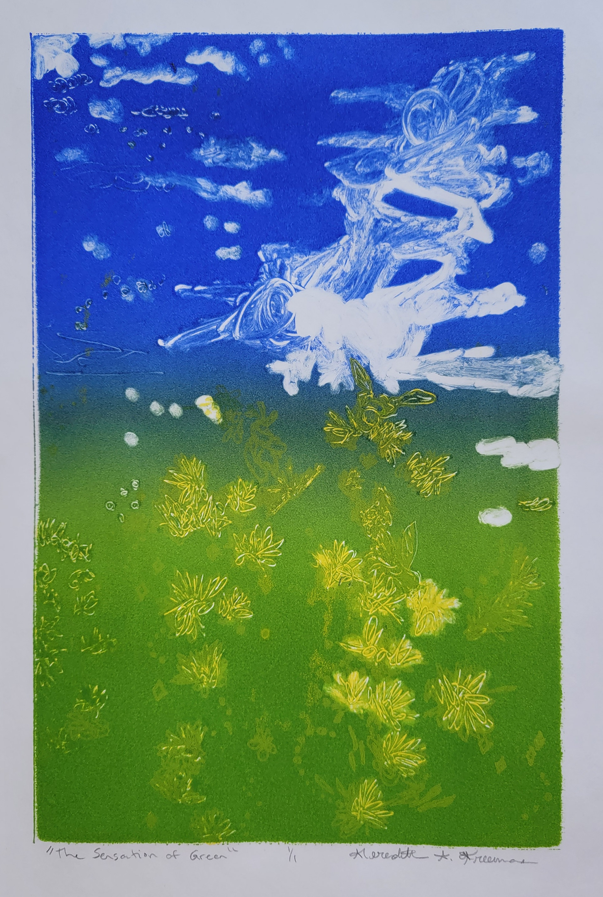 The Sensation of Green, 15" x 11", monoprint on Cheloniidae Rag paper