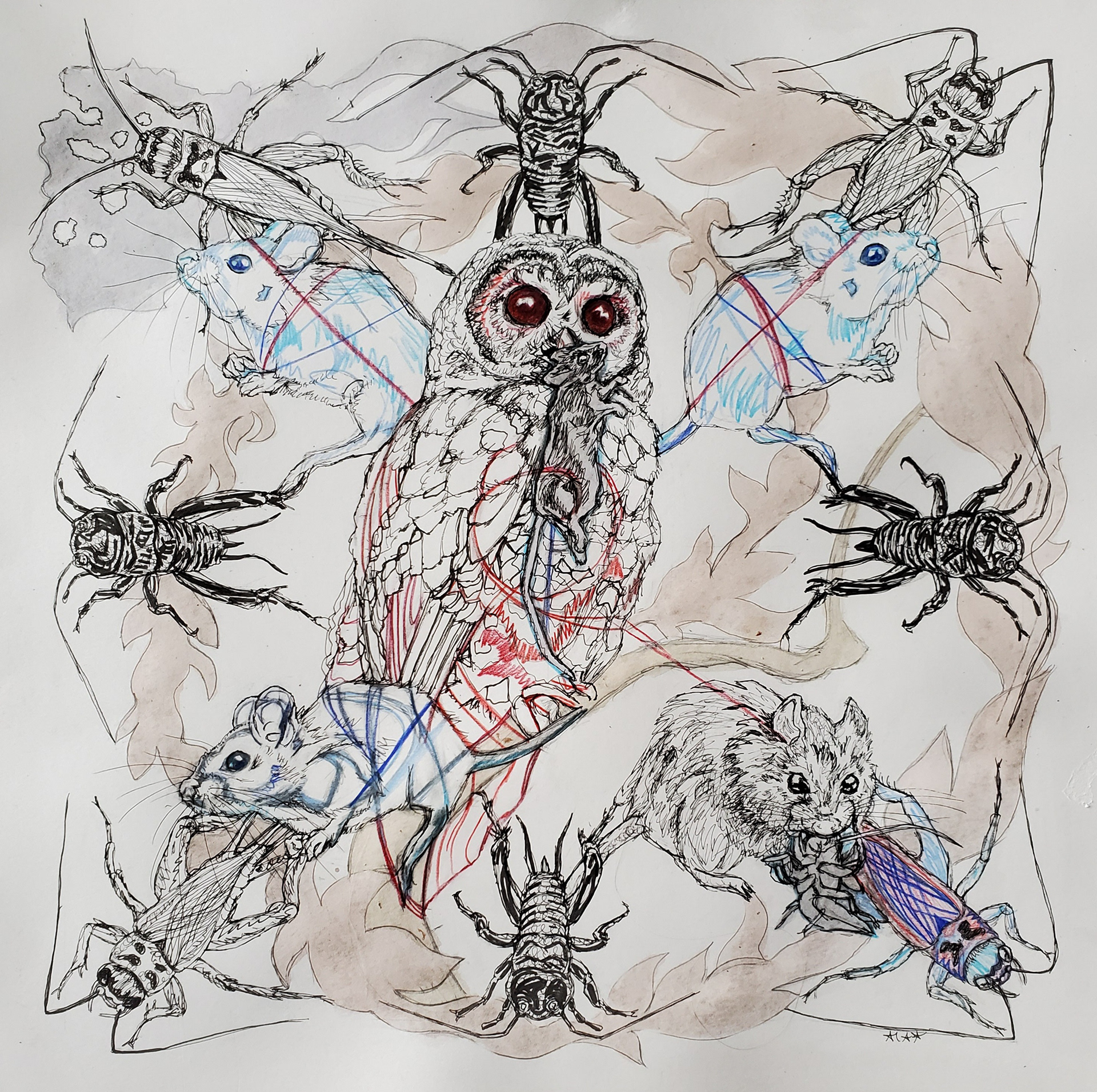 Energy Transmutation / Survival, 14" x 14", micron, Pitt artist pen, prismacolor pencil, and floral pigments on watercolor paper