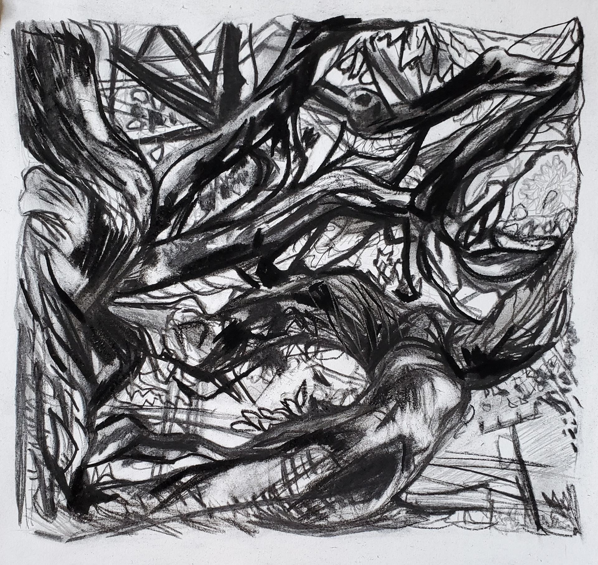 Natural Landscape II - Location: Long Beach, 13" x 13.75", vine charcoal, compressed charcoal, and woodless graphite on watercolor paper