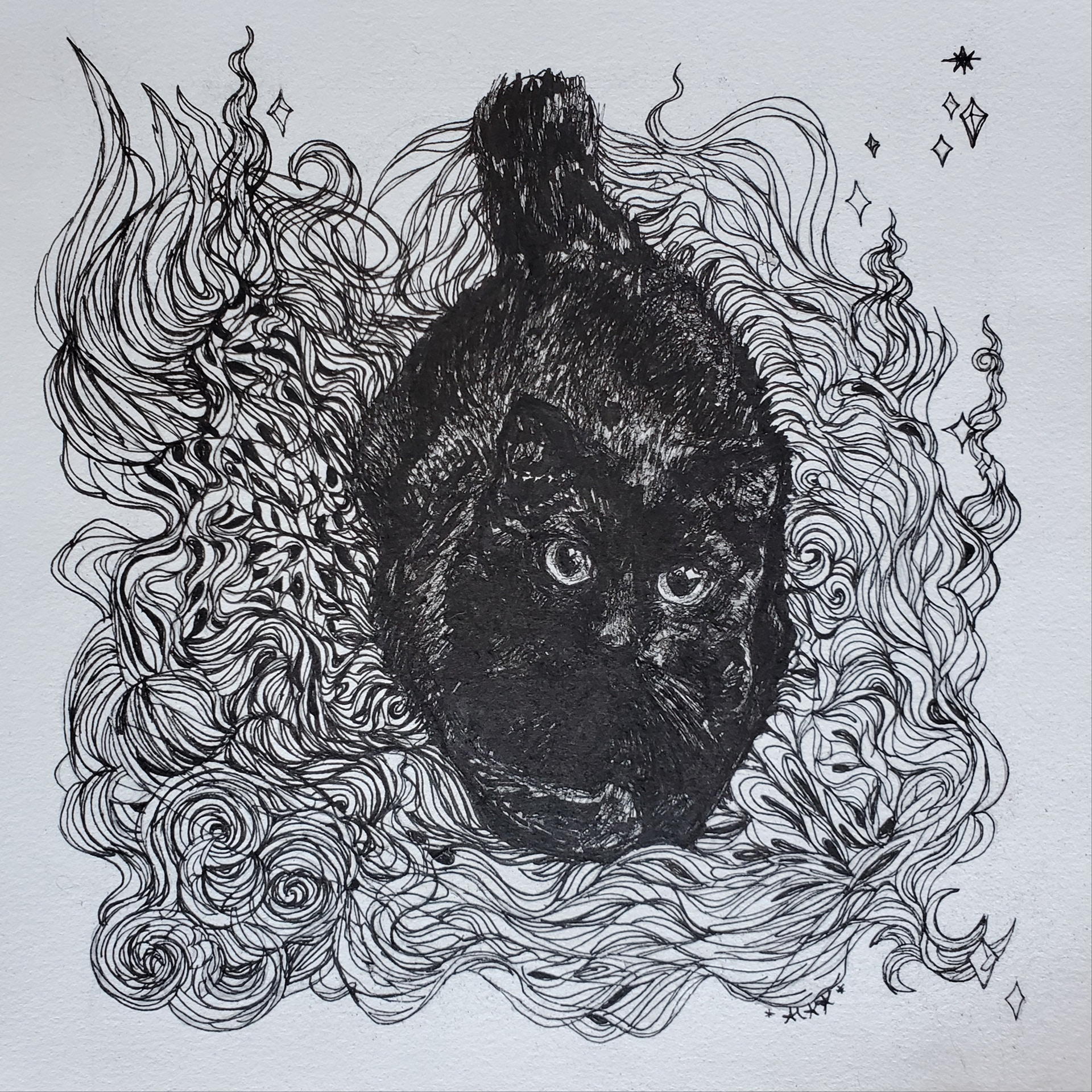 Sweet Black Tourmaline, 9" x 9", micron and Pitt artist pen on drawing paper