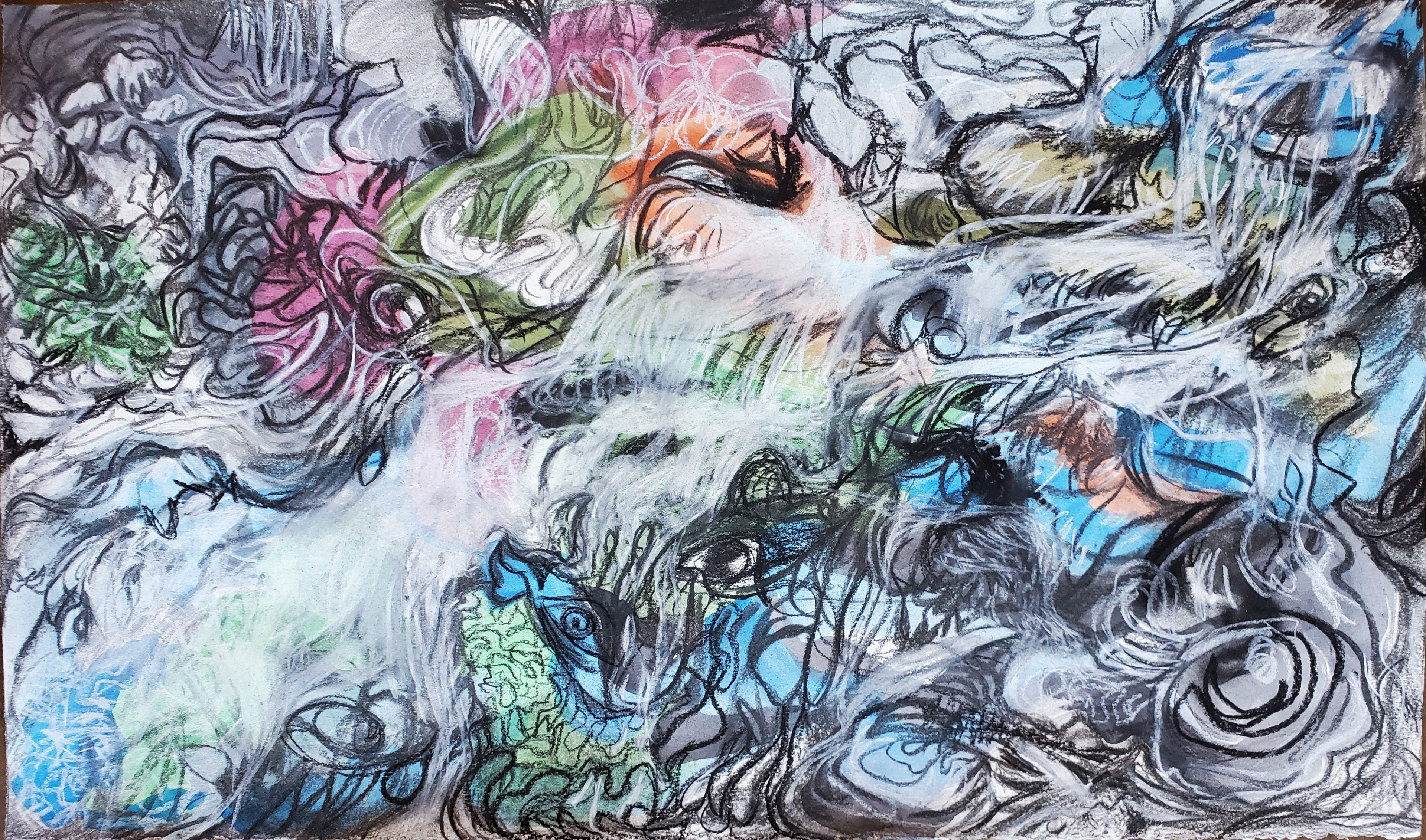 Natural Landscape VII - Location: Tunxis State Park, 14" x 24", vine charcoal, white charcoal, compressed charcoal, and gouache on watercolor paper