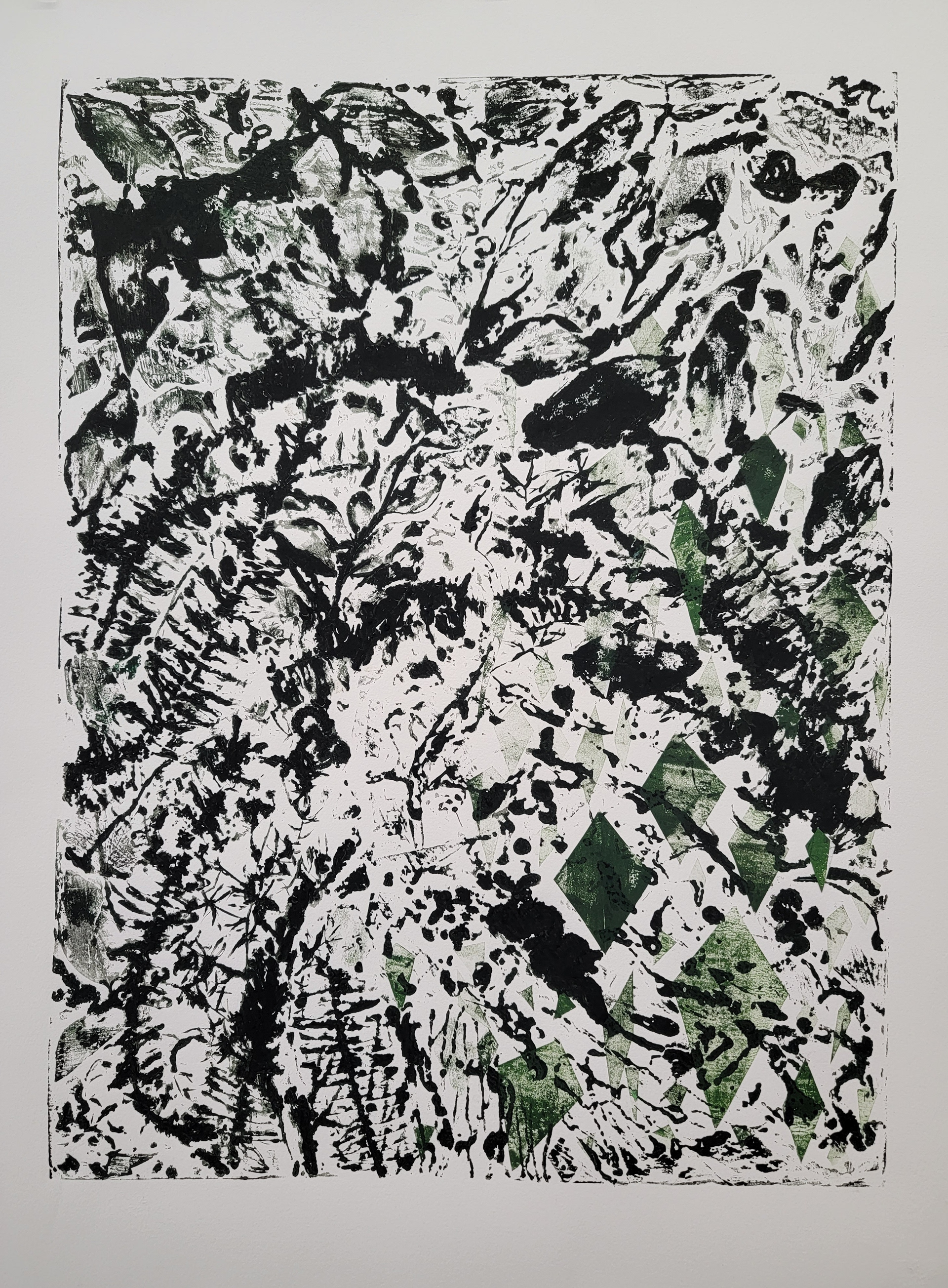 Reviver, 30" x 22," Collagraph on Stonehenge paper
