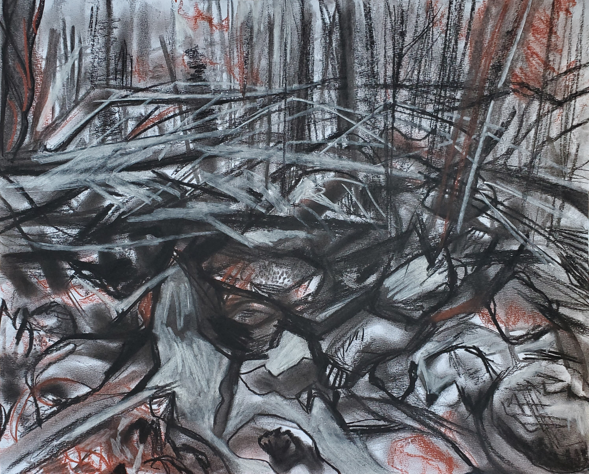 Natural Landscape IV - Location: Tunxis State Park, 14" x 17", vine charcoal, compressed charcoal, and conté on Bristol paper