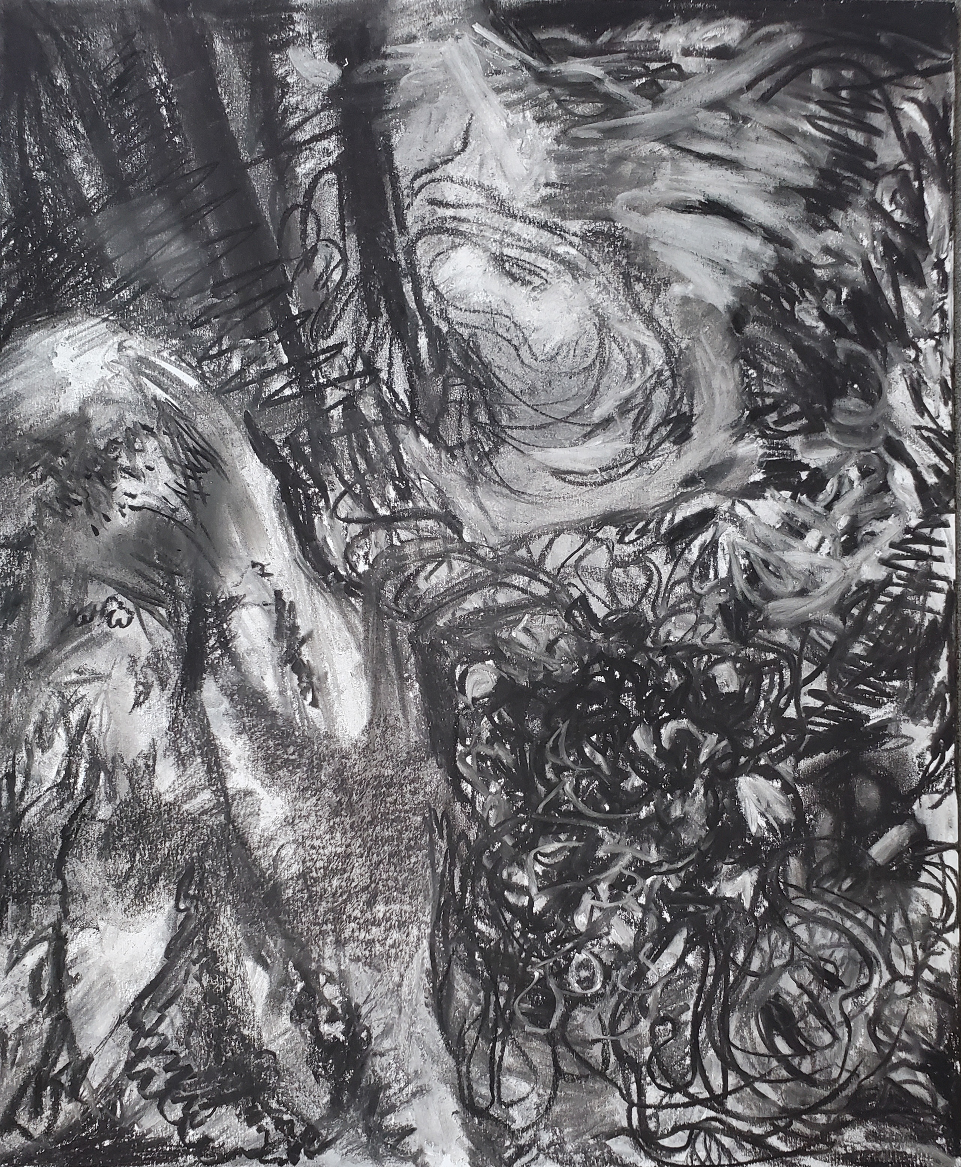 Natural Landscape V - Location: Tunxis State Park, 17" x 14", vine charcoal, white charcoal, and compressed charcoal on Bristol paper