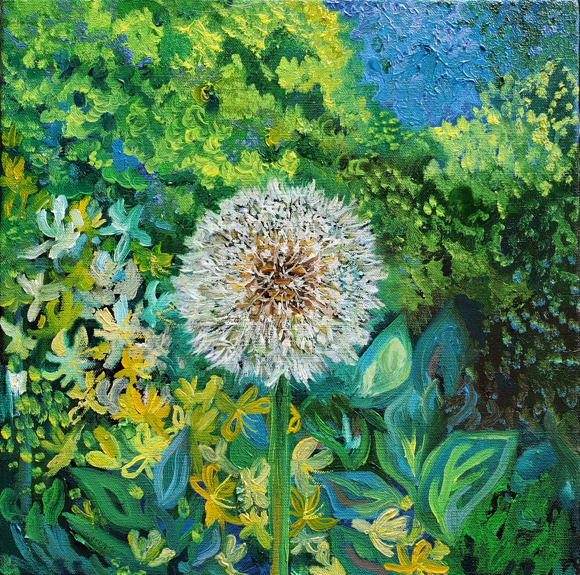 Dandelion Wishes, 12" x 12", water-mixable oils on canvas