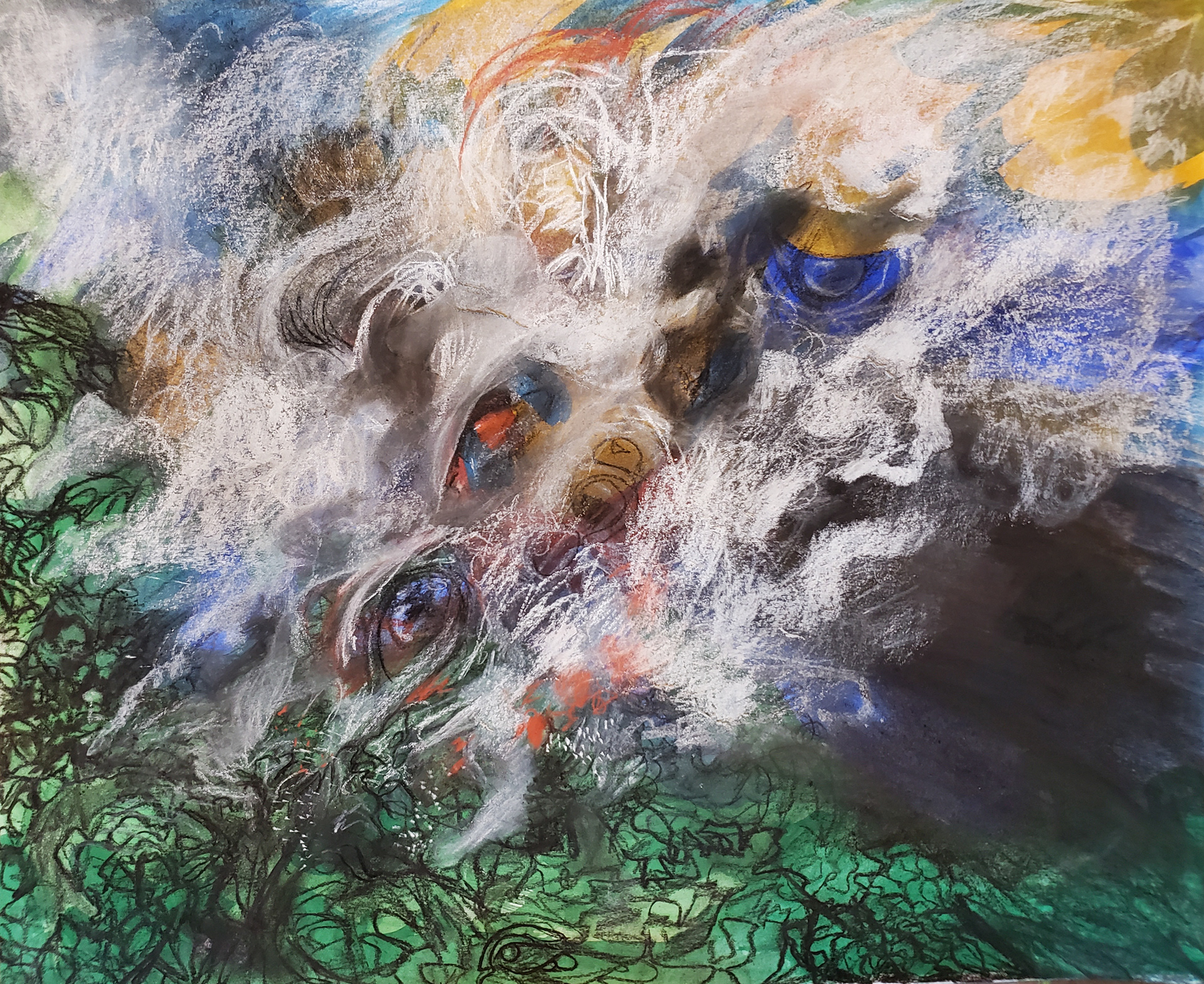 Landscape in Crisis II - Amazon Rainforest Fires 2019, 14" x 17", vine charcoal, compressed charcoal, white charcoal, carbon sketch pencil, and gouache on Bristol paper