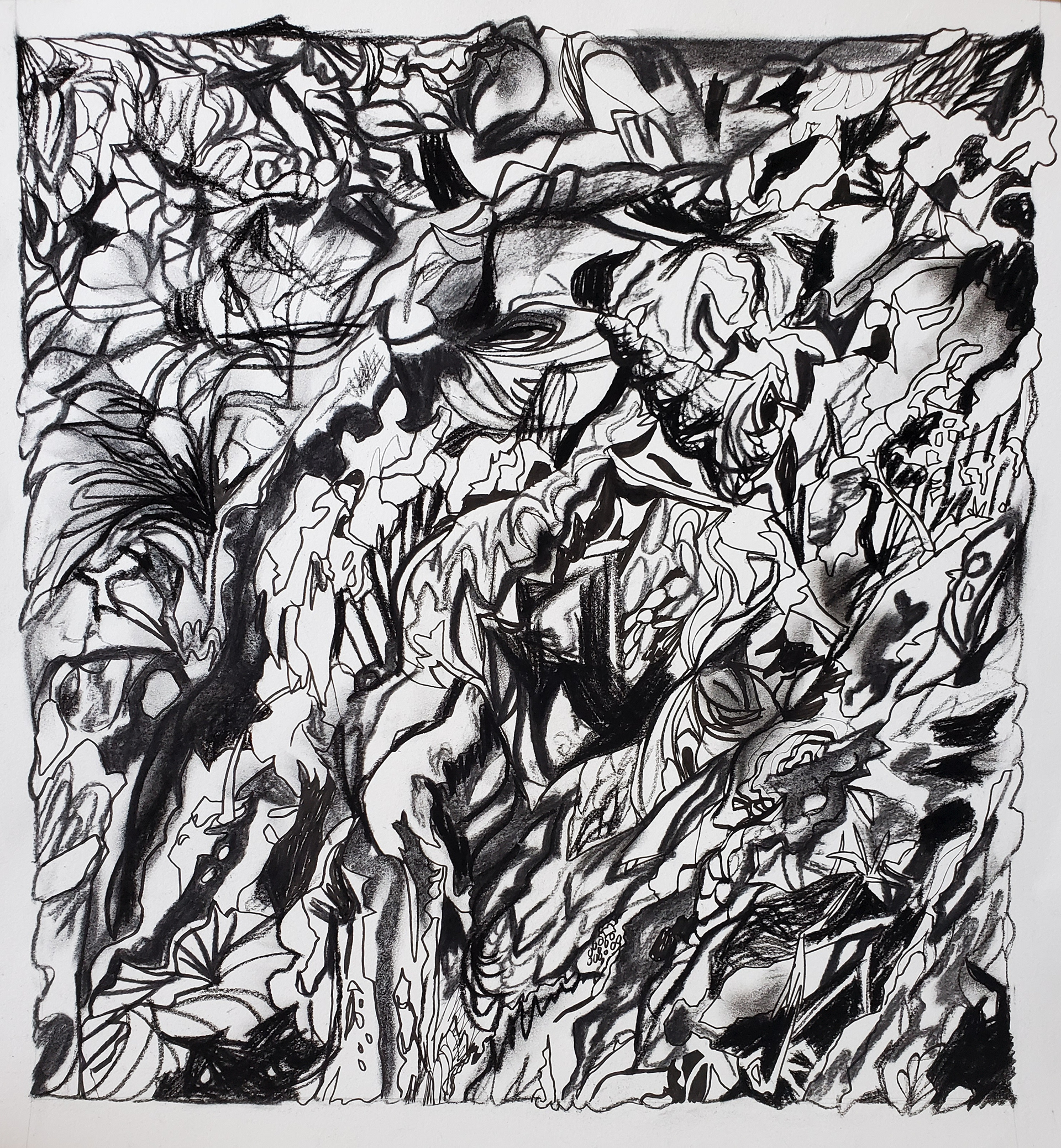 Natural Landscape I - Location: Korean Forest, 19" x 18", vine and compressed charcoal on watercolor paper