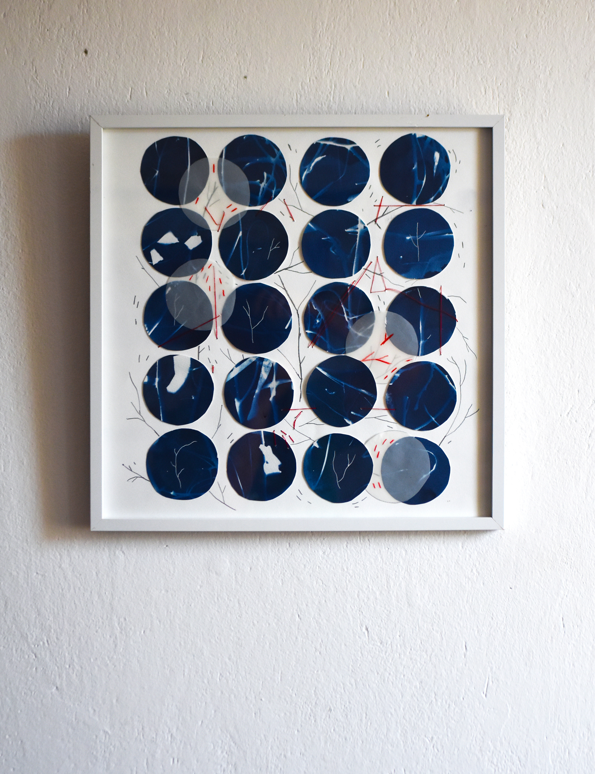 Family tree - cyanotype, red thread