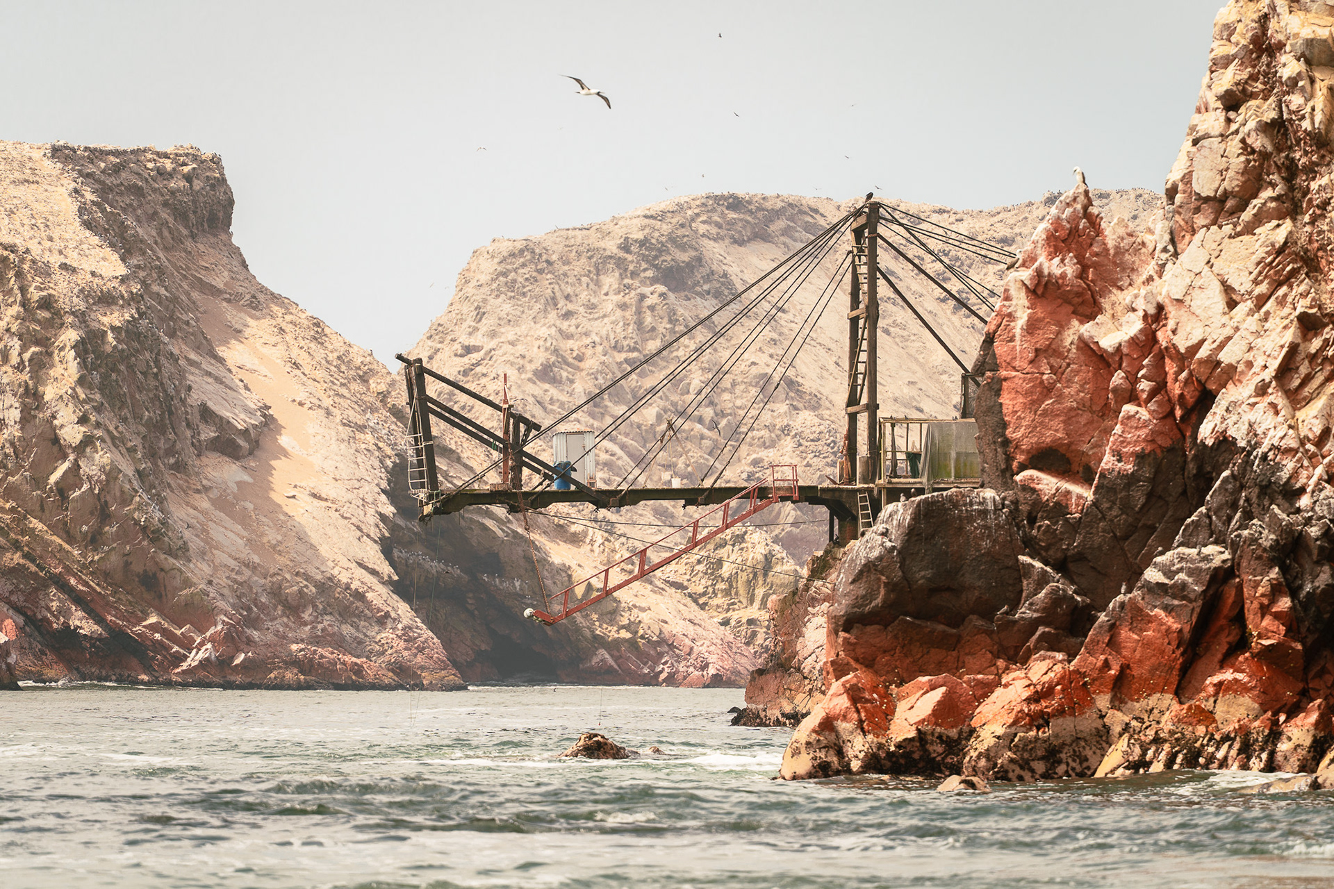 Islas Ballestas, Peru