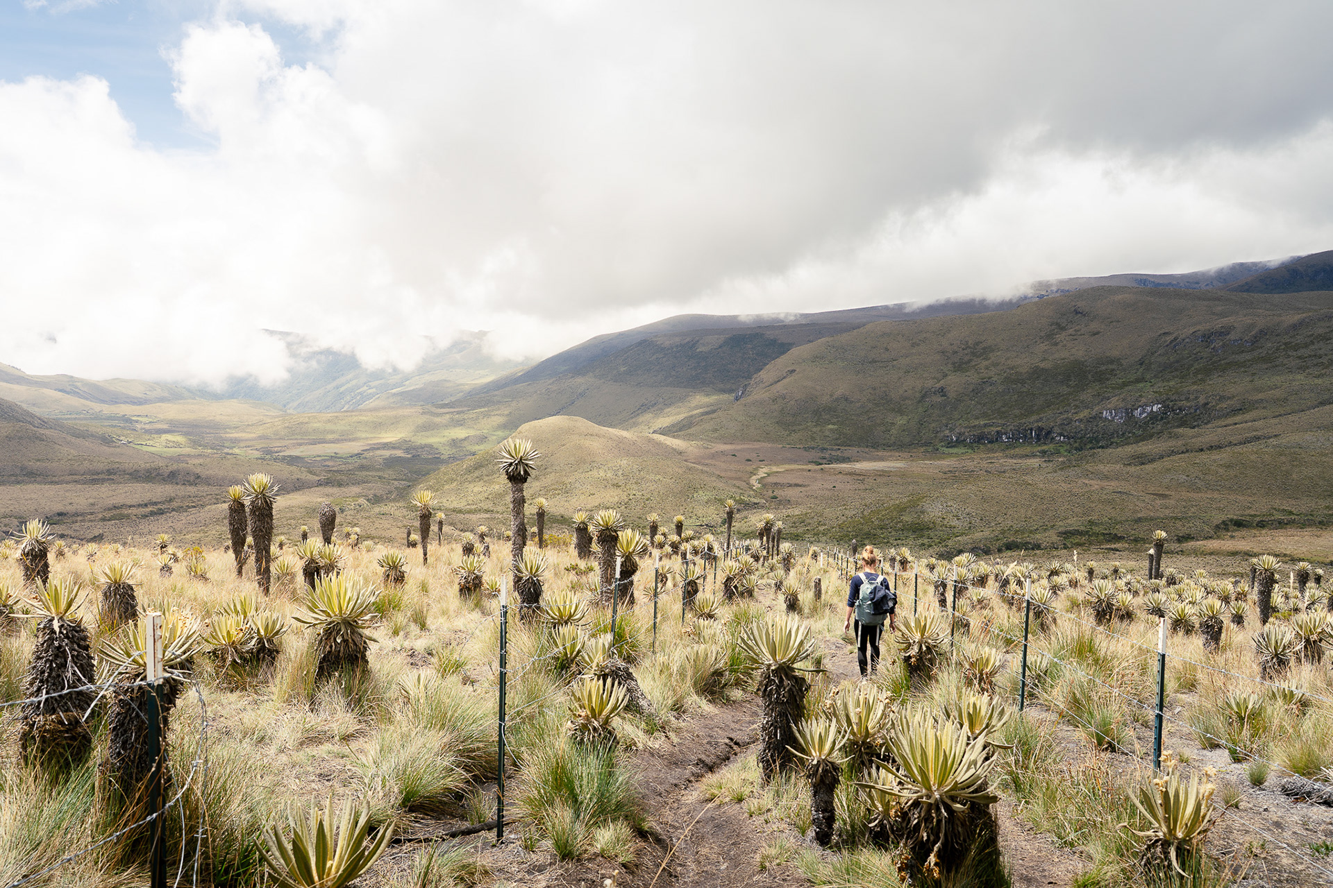 Parque Nacional Natural los Nevados, Kolumbien