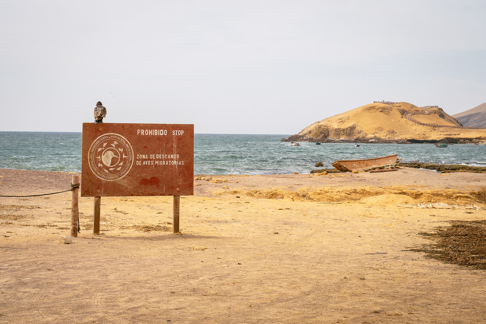 Paracas, Peru