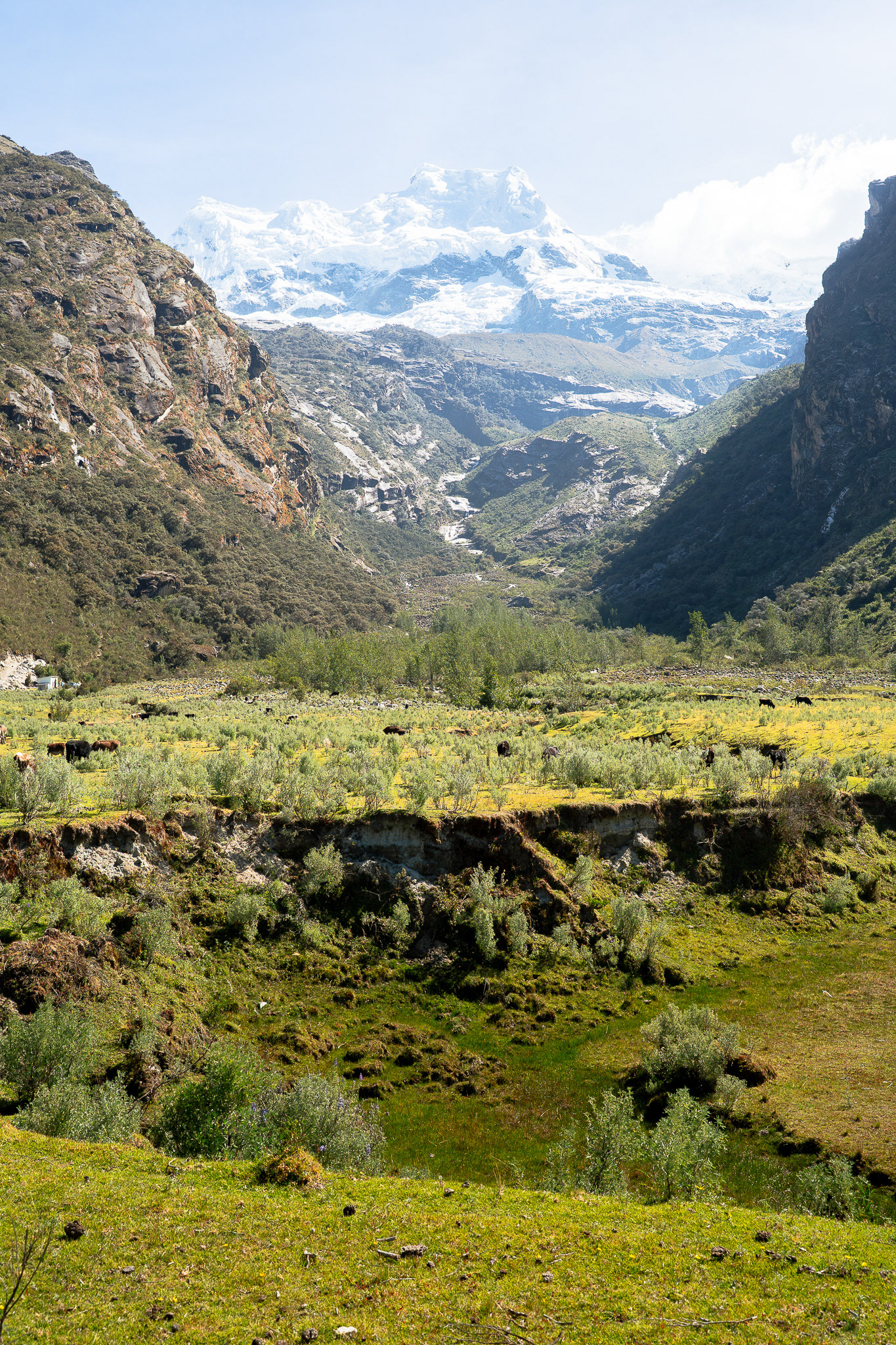 Laguna 513, Peru