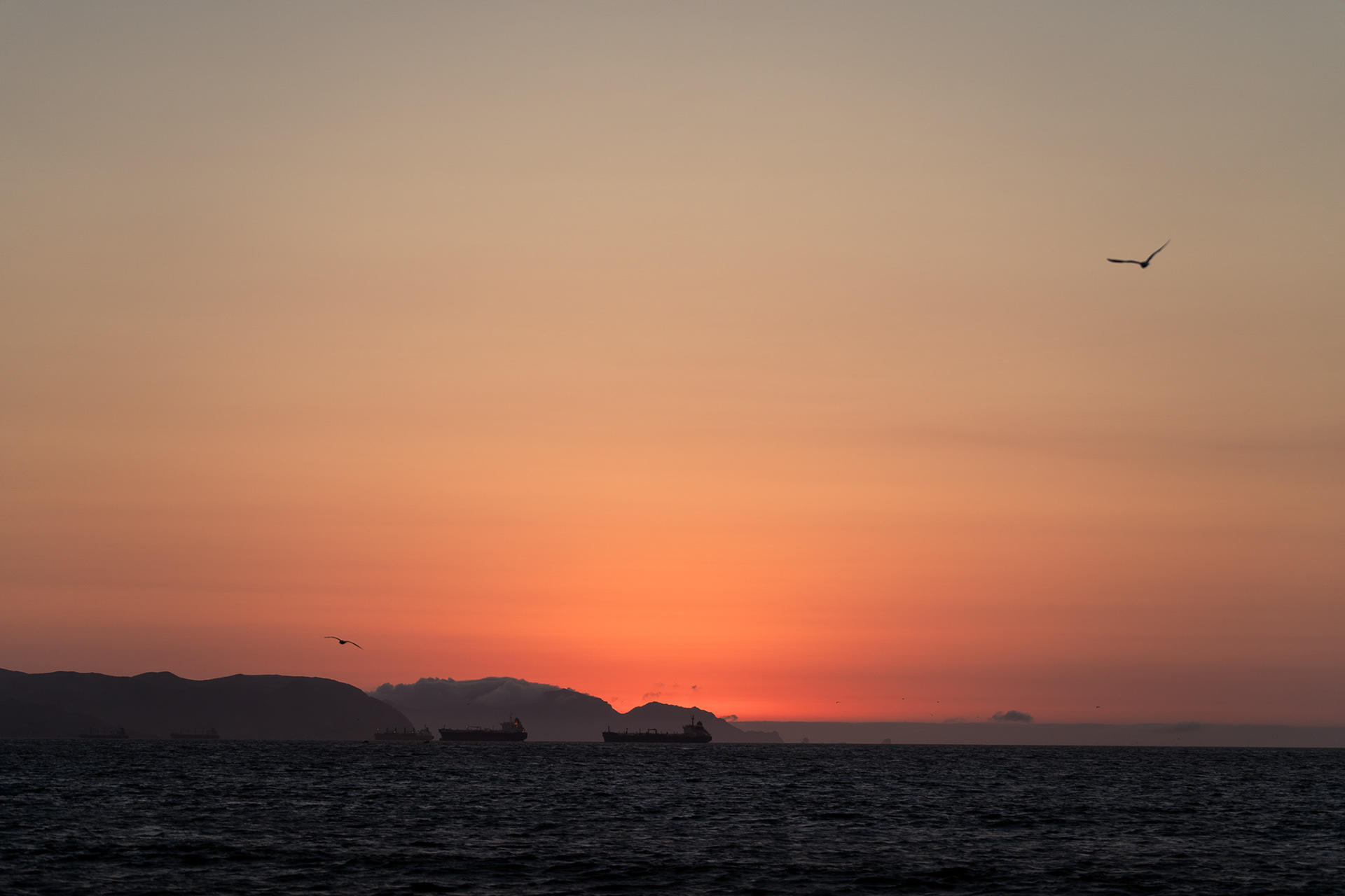 Paracas, Peru