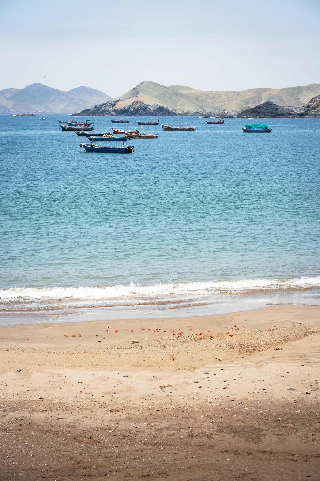 Tortugas, Peru