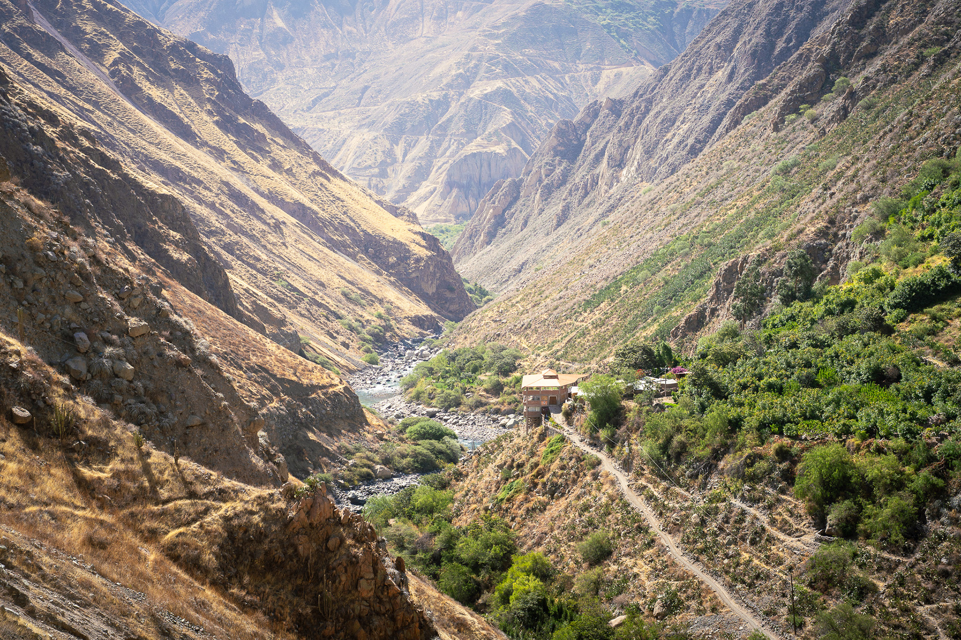Colca Canyon, Peru