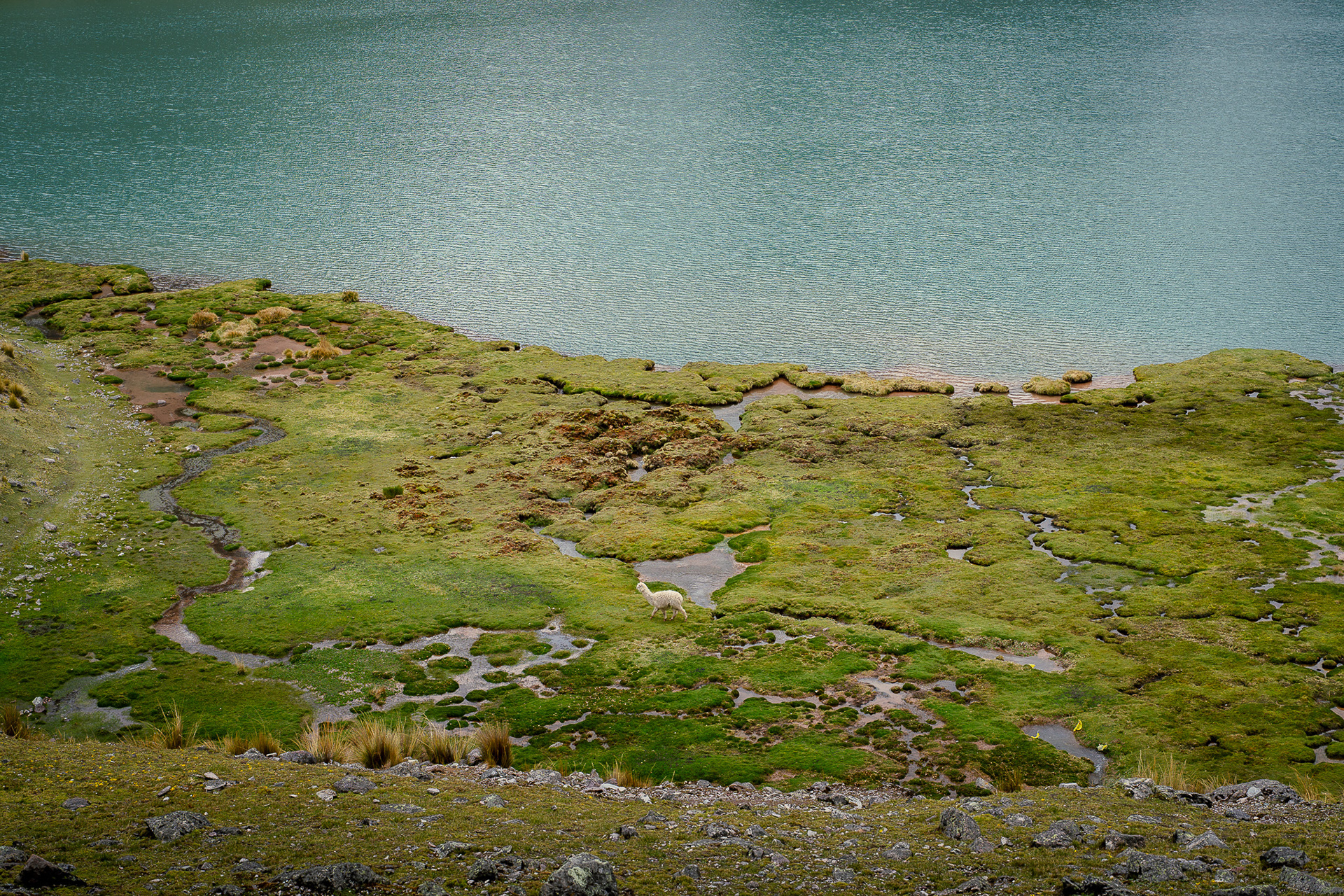 Siete Lagunas, Peru