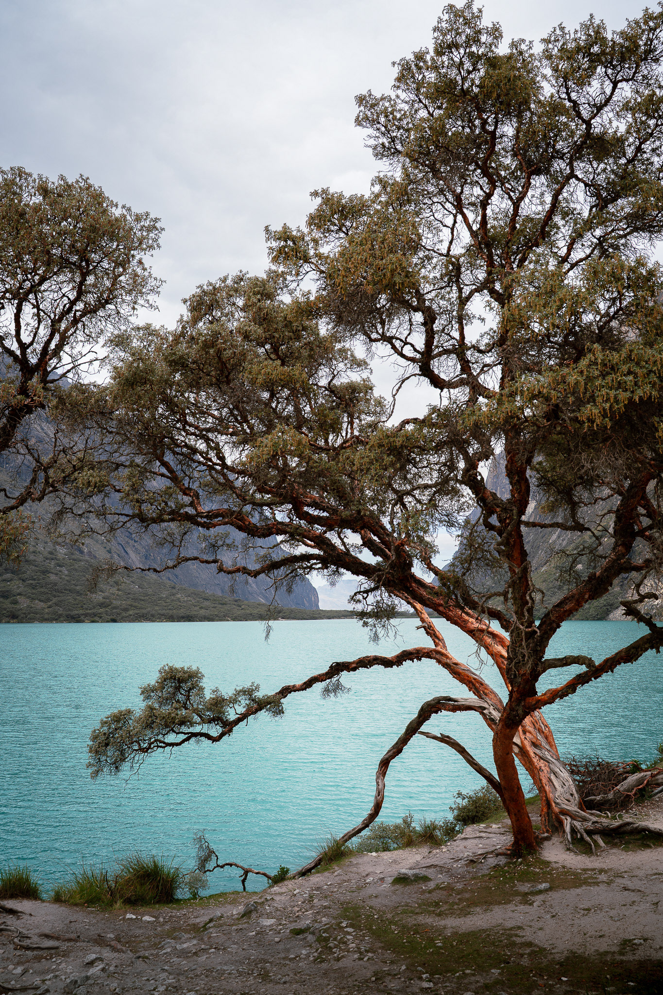 Laguna 69, Peru