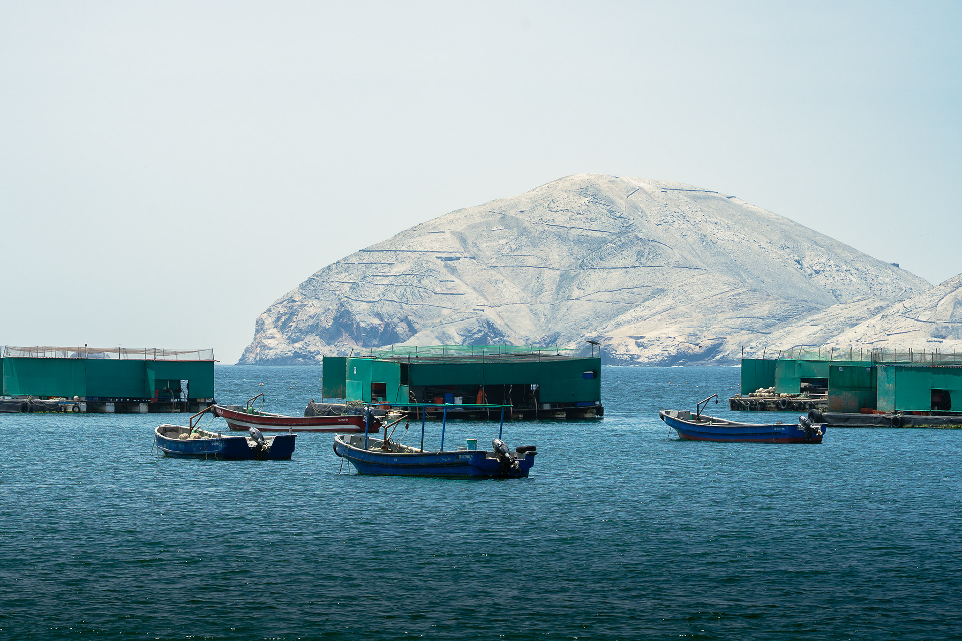 Tortugas, Peru