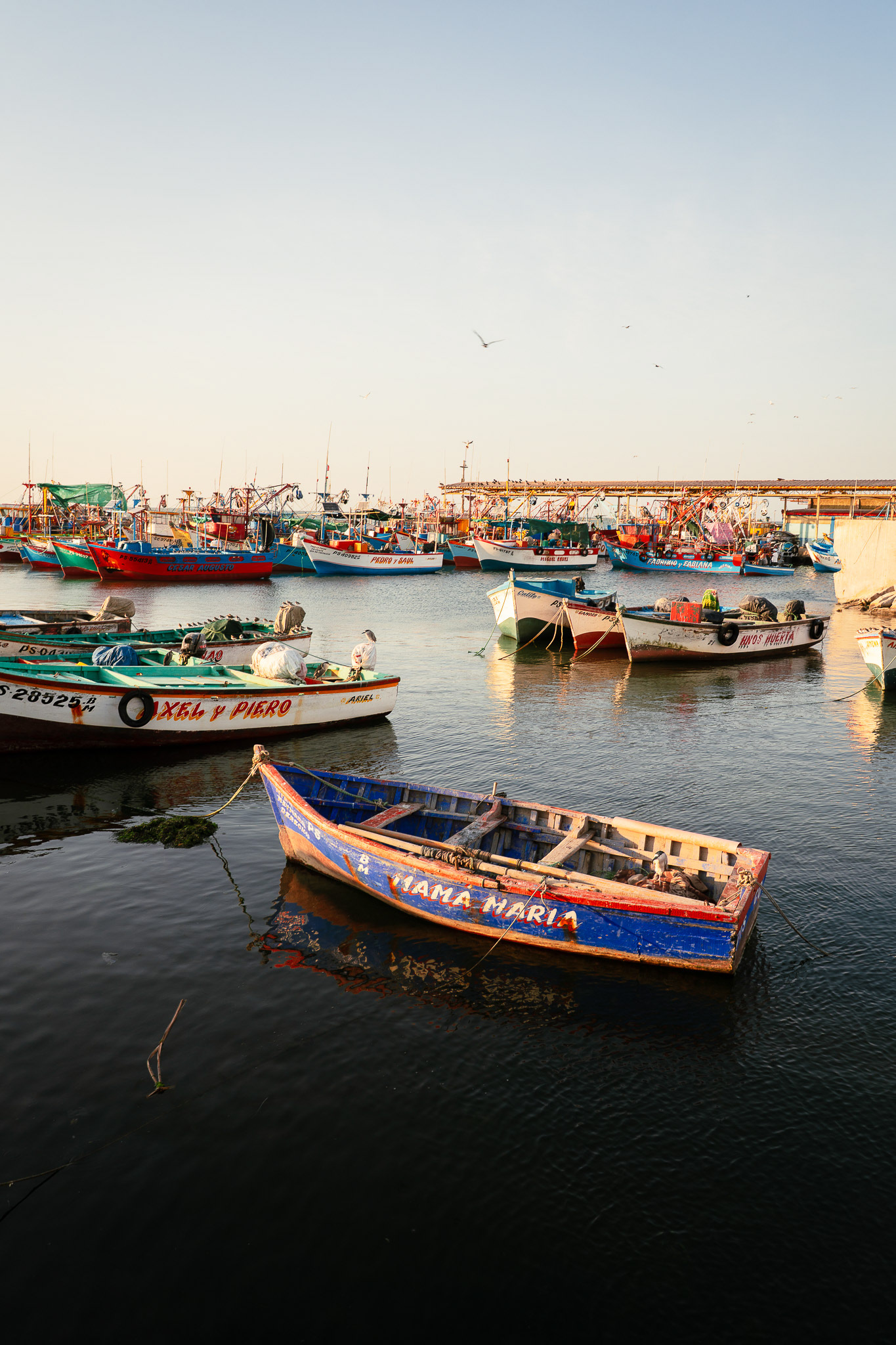Paracas, Peru