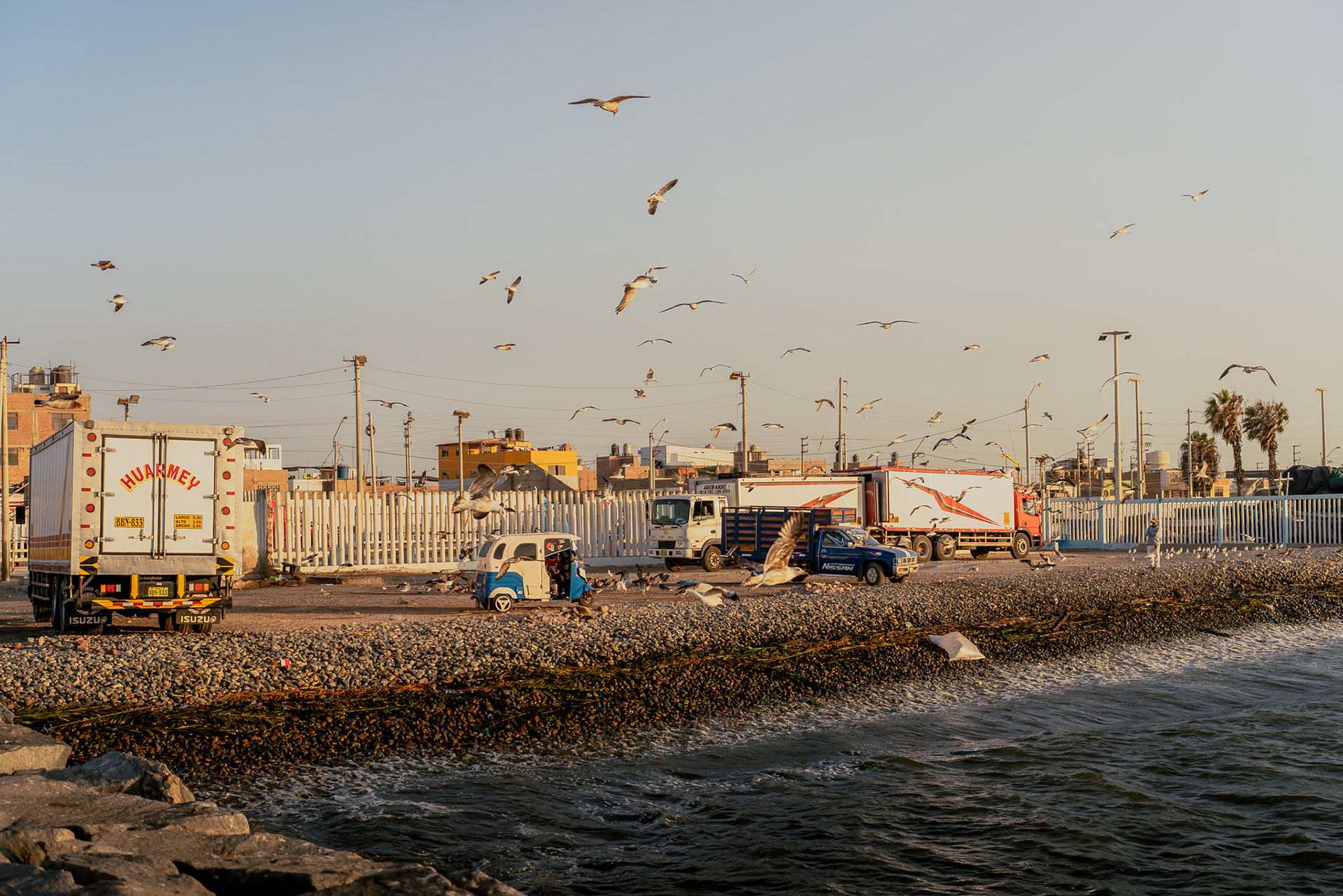 Paracas, Peru