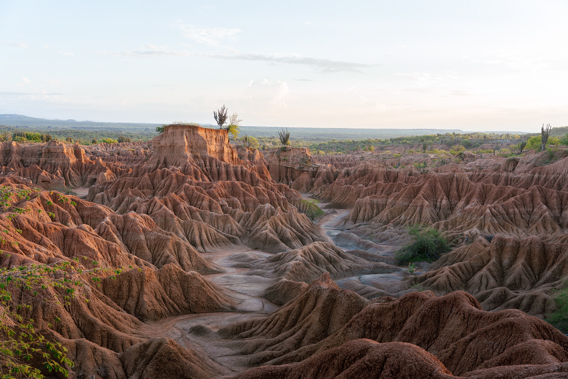 Desierto Tatacoa, Kolumbien
