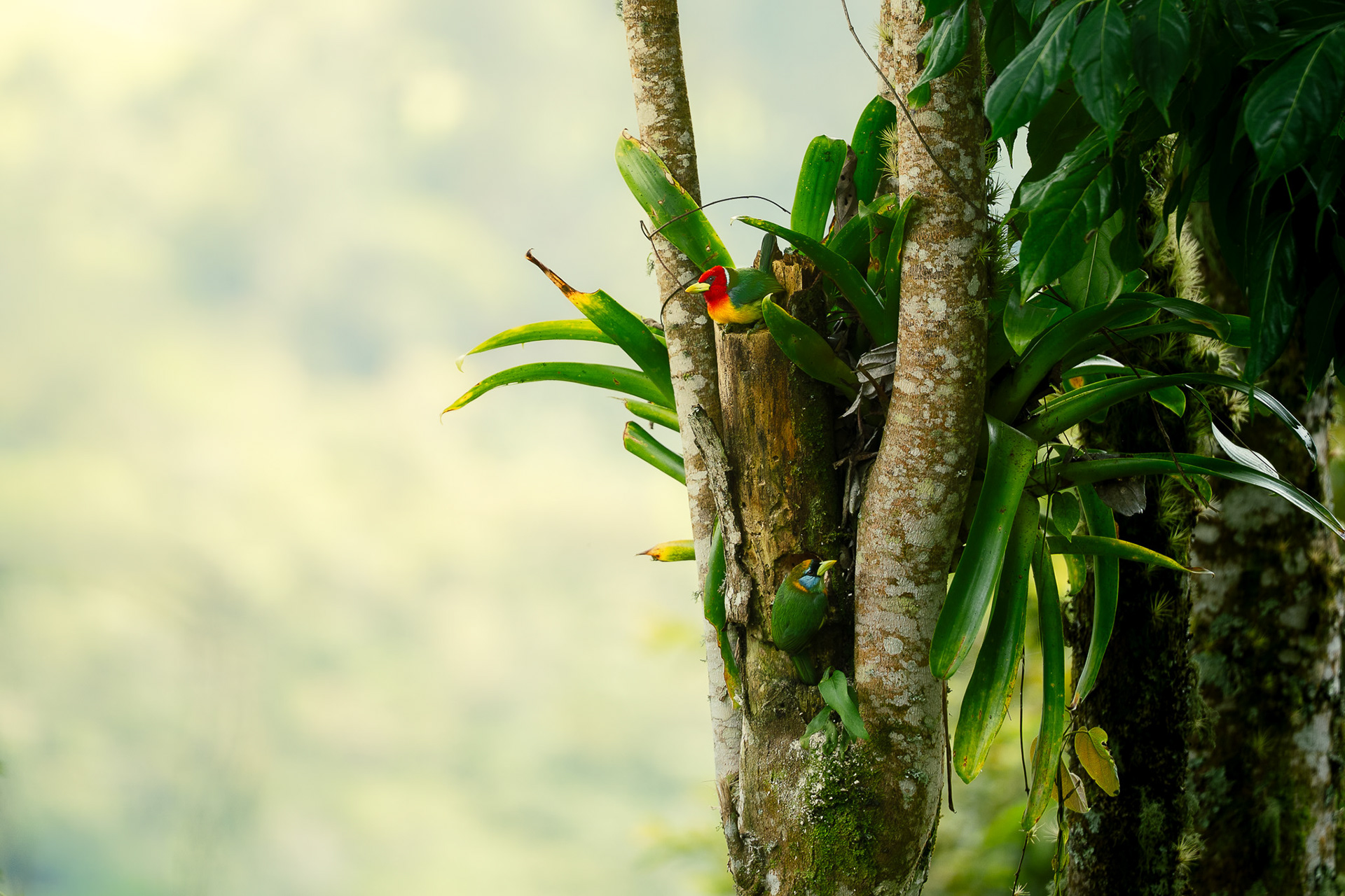 Jardín, Kolumbien