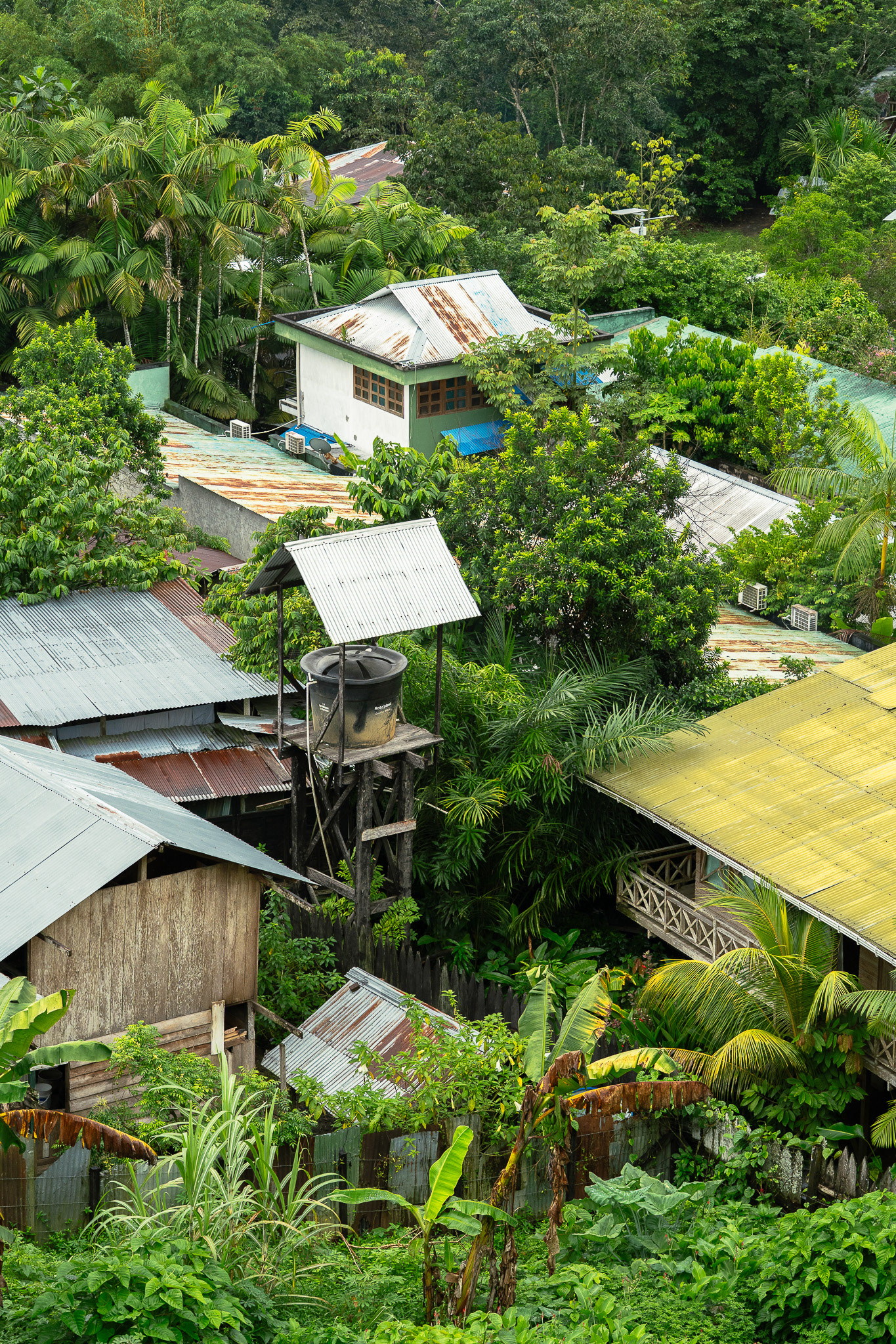 Puerto Nariño, Kolumbien