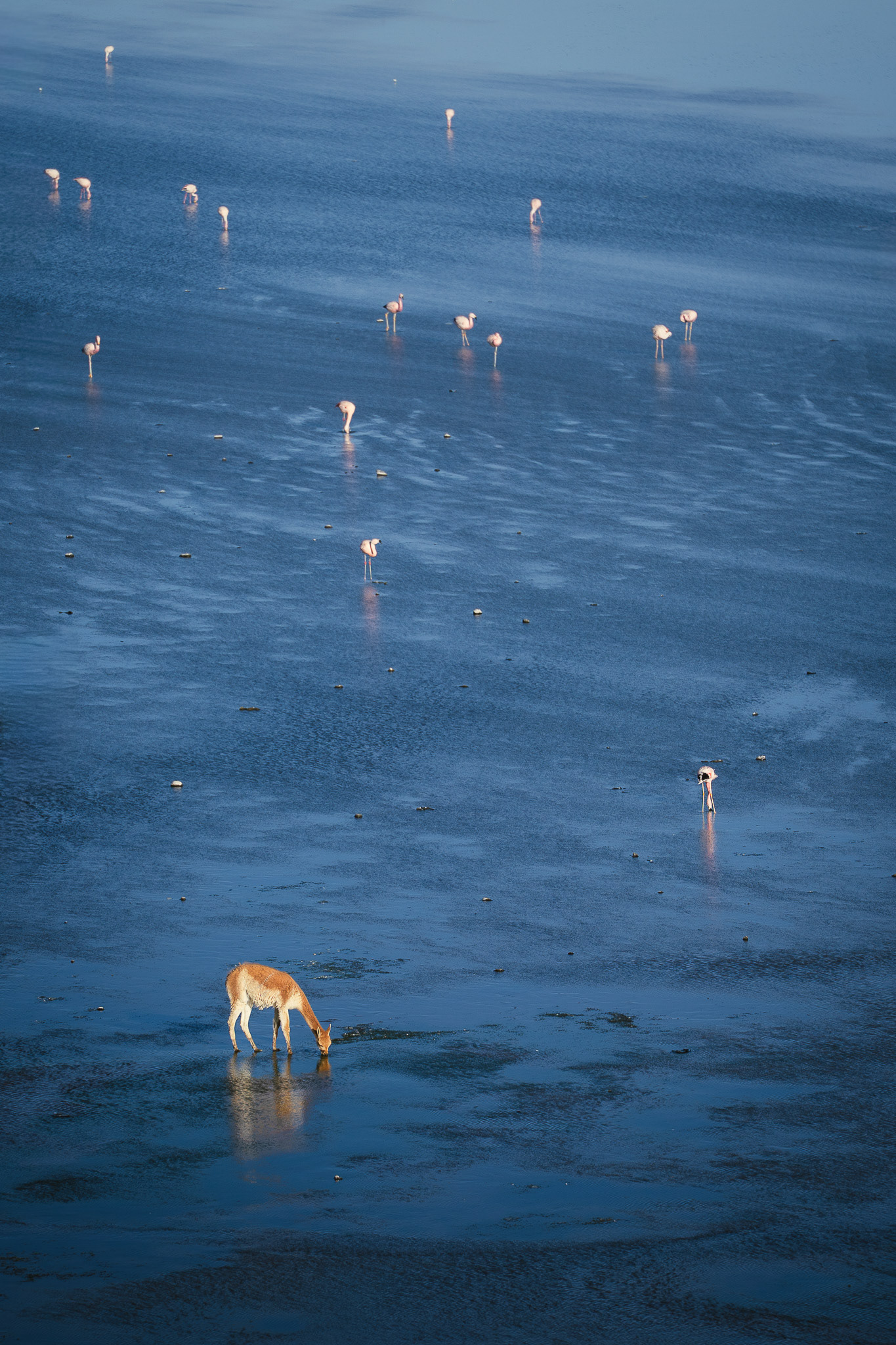 Uyuni, Bolivien