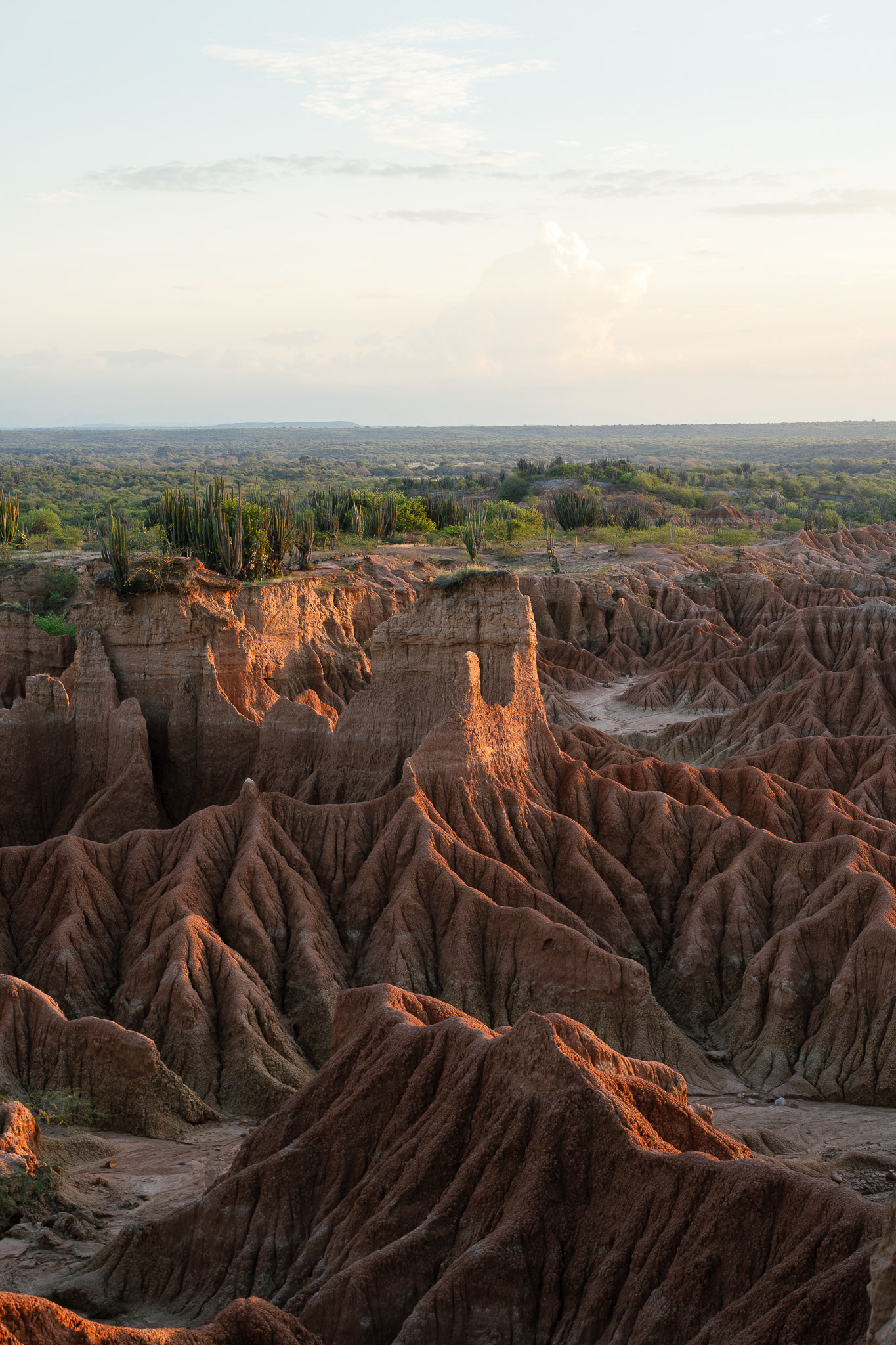 Desierto de la Tatacoa, Kolumbien