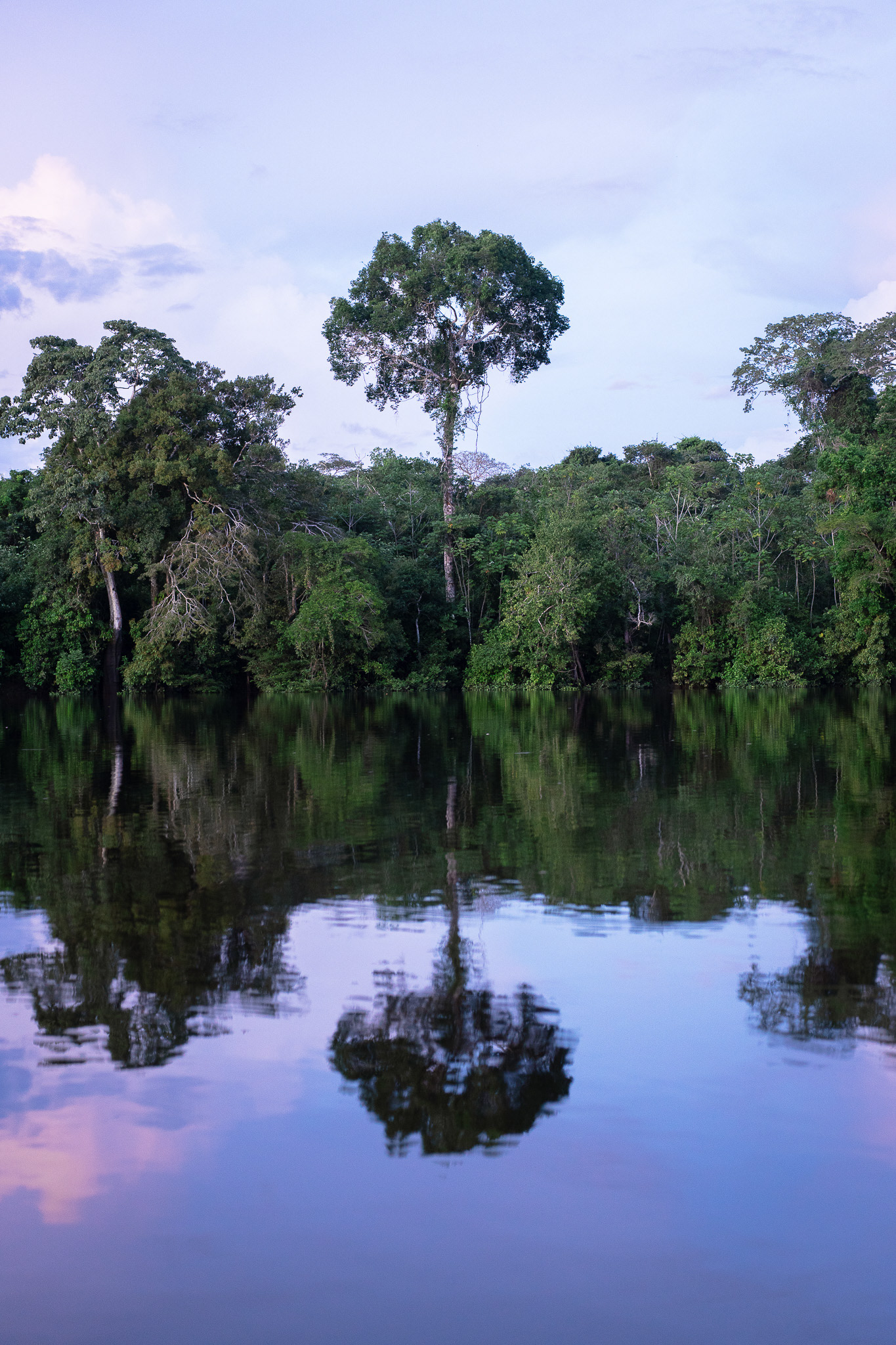 Puerto Nariño, Kolumbien